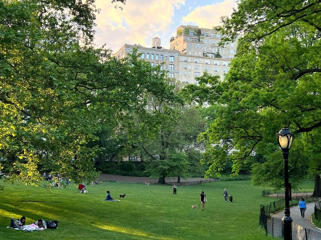 ラファエル・スバージさんのインスタグラム写真 - (ラファエル・スバージInstagram)「A day in Central Park is simply a day of bliss. Everywhere you look is beautiful…」5月19日 0時33分 - raphaelsbarge