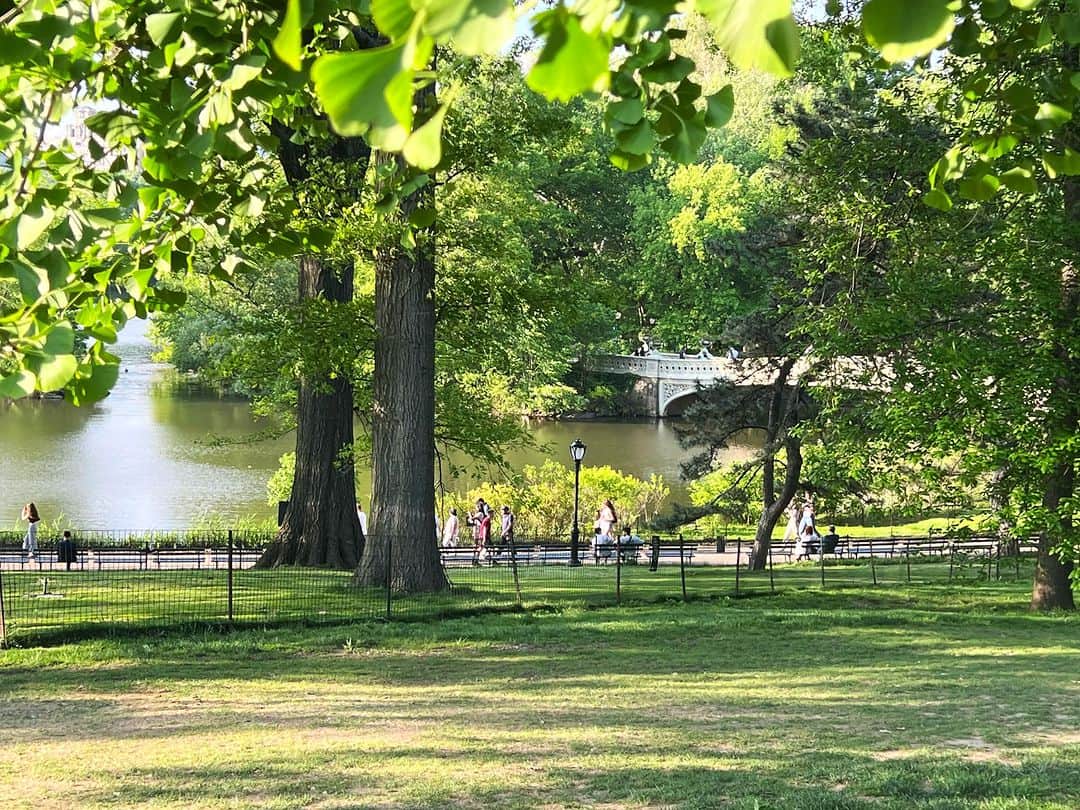 ラファエル・スバージさんのインスタグラム写真 - (ラファエル・スバージInstagram)「A day in Central Park is simply a day of bliss. Everywhere you look is beautiful…」5月19日 0時33分 - raphaelsbarge