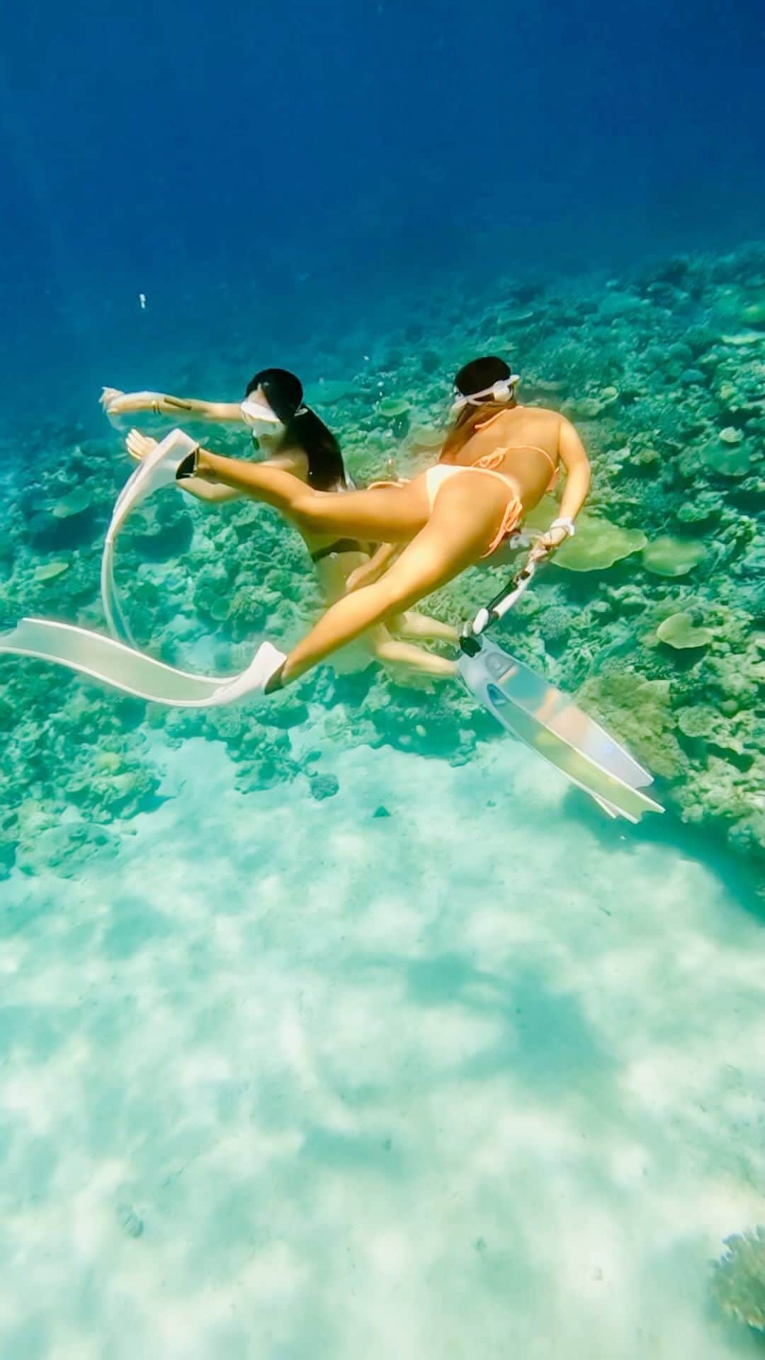 ToyoMaruのインスタグラム：「『美しい』をお届け🧜‍♀️🌺🫧 feel the Earth🌏 let's go to the Sea  📍okinawa japan Ryukyu islands vibes mermaid🧜‍♀️🫧  「控えめに言って、最高✨✨」  皆さんと素敵な瞬間を共有できることを 楽しみにしてます🧜‍♀️🌺🫧  ◆◆◆2023とよまるツアー◆◆◆ ・無人島映えツアー🏝🧜‍♀️🫧 ・スキンダイビングツアー ・1日1組限定🏖船チャーター海遊び⚓️ ・慶良間ダイビング🤿 ・ジェットスキーツーリング🌊 ・船上BBQ🍖 etc…🌞  2023年2月〜3月 沖縄本島・那覇発🛥ホエールスイム🐳  2023年1月〜4月 与那国trip✈️ハンマーツアー🦈  2023年11月モルディブtrip✈️ 初の島ステイが実現🏖  開催します👏👏👏 それぞれ詳細お知らせします🤗 ご興味ある方📩DMください！ ご予約・お問い合わせお待ちしております ⚓️⚓️⚓️⚓️⚓️⚓️⚓️⚓️  #映え職人  #映えまる  #映えまる水産  #とよまるツアー  #toyomaru号  #okinawa  #skindiving  #gopro  #travel  #sea  #沖縄 #沖縄旅行 #旅行  #スキンダイビング  #無人島 #水着  #慶良間諸島 #ドローン  #インスタ映え  #網美景點 #沖繩 #沖繩旅遊  #潛水 #自由潛水  #leaderfins #タビジョ」