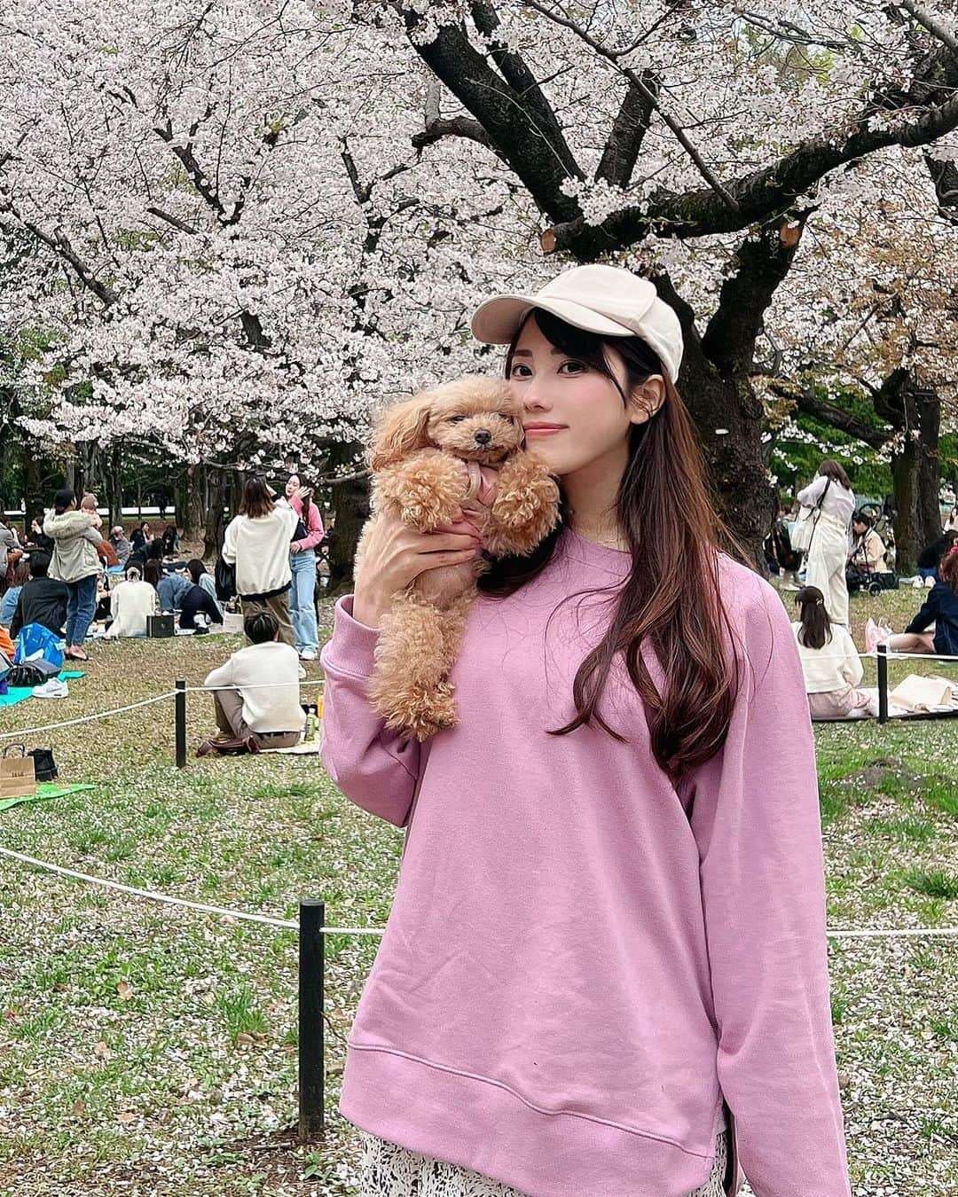 佐倉知里さんのインスタグラム写真 - (佐倉知里Instagram)「お花見🌸  ティアラさん寝てますね？  このスニーカーお気に入り💓       #3月下旬のお話 (*´-`*) #お花見できた #撮影の裏側の撮影 #愉快な仲間たち🍻」5月18日 16時02分 - chisa_tiara