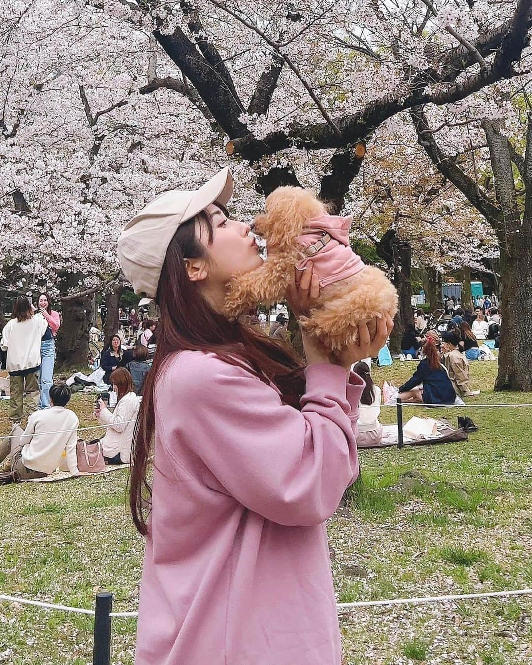 佐倉知里さんのインスタグラム写真 - (佐倉知里Instagram)「お花見🌸  ティアラさん寝てますね？  このスニーカーお気に入り💓       #3月下旬のお話 (*´-`*) #お花見できた #撮影の裏側の撮影 #愉快な仲間たち🍻」5月18日 16時02分 - chisa_tiara