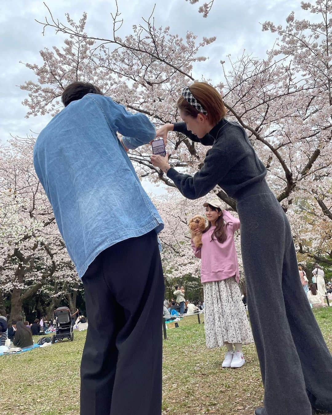 佐倉知里さんのインスタグラム写真 - (佐倉知里Instagram)「お花見🌸  ティアラさん寝てますね？  このスニーカーお気に入り💓       #3月下旬のお話 (*´-`*) #お花見できた #撮影の裏側の撮影 #愉快な仲間たち🍻」5月18日 16時02分 - chisa_tiara