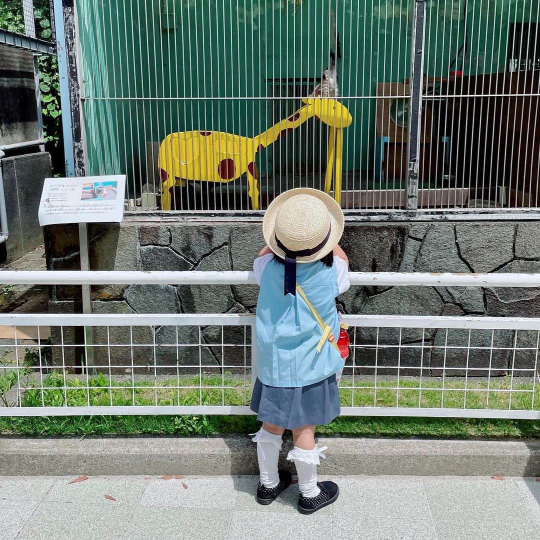いわさきふきこ さんのインスタグラム写真 - (いわさきふきこ Instagram)「午前休をとって、幼稚園の遠足へ♪ 偶然にもNHK和歌山さんの撮影中でした。 入園無料の「お城のどうぶつえん」 ツキノワグマのベニー園長は休養中ですが、様々な動物たちがお出迎えしてくれます。 ペンギンの前には木陰とベンチ。 気持ちよさそうに泳ぐ姿を見ながら、涼んでみではいかがでしょうか🐧❄️  #和歌山城公園動物園 #和歌山城」5月18日 16時29分 - fukikoiwasaki