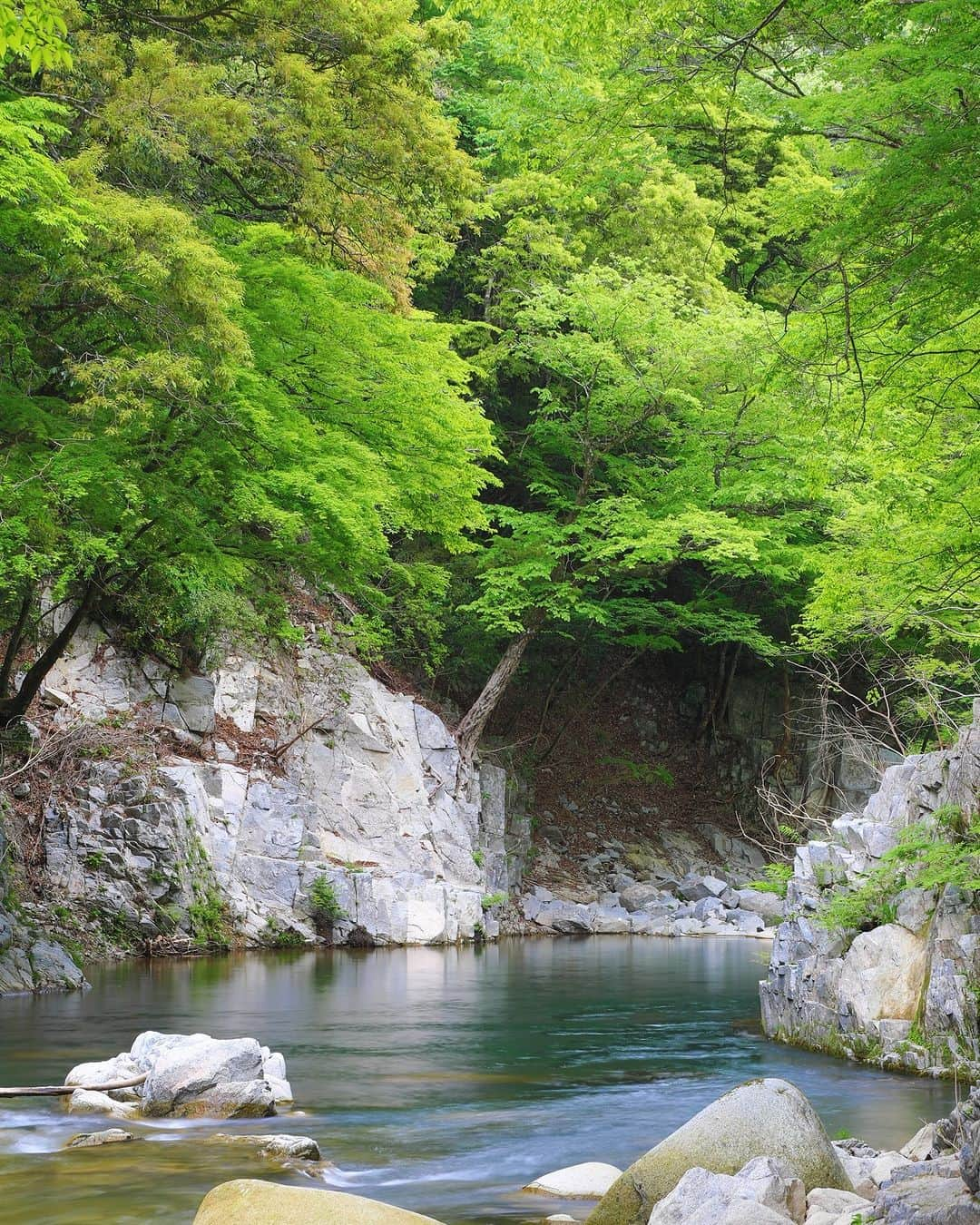 福島県さんのインスタグラム写真 - (福島県Instagram)「【木戸川渓谷（楢葉町）】  木戸川渓谷は木戸ダムから下流に約3kmの遊歩道が整備されています。広い滝つぼと淵をもつ雄滝・雌滝（おだき・めだき）や老木のじい杉・ばあ杉などがあり、楢葉町の壮大な自然を感じることができます。  春から夏にかけての新緑や秋の紅葉、珍しい形をした岩々など、四季を通して景観の美しさを楽しめます。  たっぷりのマイナスイオンを浴びながら、雄大な自然を感じてみてはいかがでしょうか。  #木戸川渓谷 #じい杉 #ばあ杉 #相双地方 #浜通り #楢葉町 #福島県 #narahatown #fukushima #RealizeFukushima #NotADreamFukushima #ひとつひとつ実現するふくしま」5月18日 17時00分 - realize_fukushima