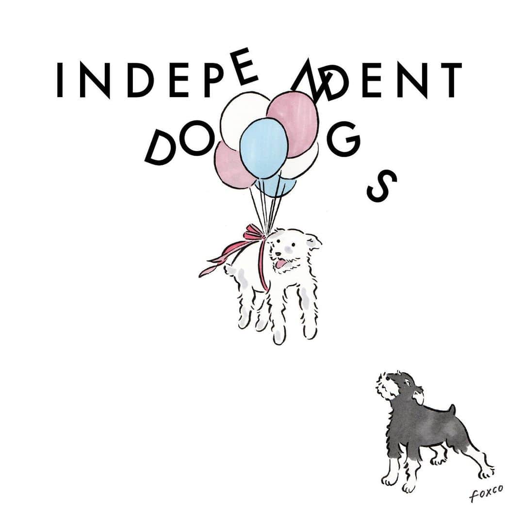 渡邉香織さんのインスタグラム写真 - (渡邉香織Instagram)「犬たちは私のミューズで、命の重さ、愛情の深さ、責任を持つことなどたくさんのことを教えてくれる大切な存在です。それは生きている今も、去った後も。  いつもお世話になっている犬たちに少しでもお礼がしたくて始めた INDEPENDENT DOGS を今年はTシャツ販売という形で行えることになりました。売上の一部を保護犬・猫活動をする人たちにお渡しします。  ロンドンに来てまたやりたいことや夢が膨らみ、自分でいつのまにか決めてしまっていた天井を押し上げていけている感覚があります。一方で地道に下から実力をつけるために踏ん張る時でもあるからその様子をアレンとロッティで描きました🔮  人の都合に振り回されない、人に媚びないINDEPENDENT DOGS🐩🔥29日まで受注販売しています。(その後も数枚販売予定ですが絶対欲しい方はぜひこの受注のタイミングで🤝)」5月18日 17時08分 - foxco_kaori