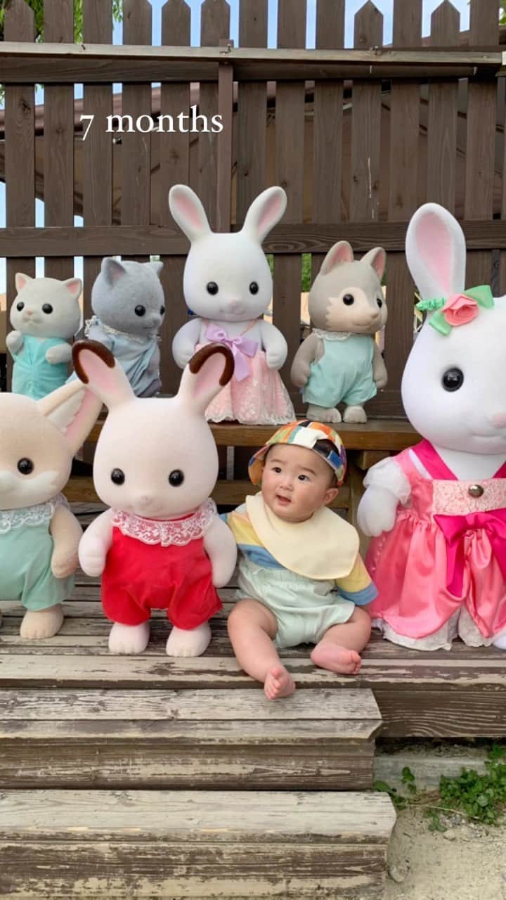 matano Kastaneのインスタグラム：「ひなたろう　7ヶ月👶🏻  🌞いちごがすっぱくて怒ってる (でも頑張って食べてる)  🌞ぽちゃぽちゃに見えますが体重は平均  🌞GWはおめかししておでかけ　  🌞新しいおもちゃ(花子)お気に入り  🌞初節句は両家みんなでお祝い  🌞寝る時はまだ半目開けて確認してくる  🌞うつ伏せ寝か横向いて寝るのが癖  🌞ハイハイがもうできそう  🌞腕立て伏せよくしてる  🌞よくお喋りしてくれる  🌞歯が左下に生えてきた(よだれ大変)  🌞抱っこマンで目があうとほぼ手伸ばしてきてくれる  🌞距離あるいないいないばあめっちゃ喜ぶ  🌞ほぼ毎朝起こしてくれる(ごめんよ・・・笑)  変わらず毎日ありがとう♡ 一緒に過ごせる毎日が本当に幸せです😭」