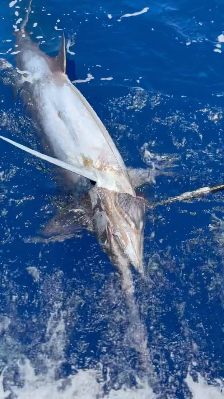 片原恵麻のインスタグラム