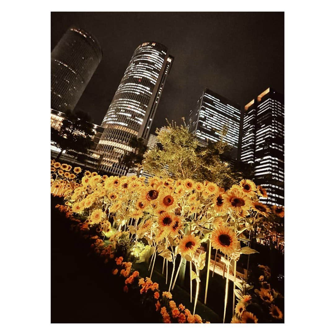 小河結香さんのインスタグラム写真 - (小河結香Instagram)「向日葵🌻🌙✨ (2022/9/9)  夏先取りだと思うじゃん❓ 去年の話だからねこれ✋ 今年のはまだ始まっておりません🙇‍♀️  毎年四季を感じられるし 夜もライトアップされたりして しごおわでも行けるから良いよね✨  天使と推しと行ってきた時の💕 私が推しを撮り天使が私を撮る📷 カメコの腕もメキメキ上達中👏 今年もまた行こうね🥰  #名古屋大名古屋ビルヂング #スカイガーデン #推し撮り #ぬい撮り #カメコ #オタ活4歳児 #カメコ4歳児 #推し活 #推し事 #オタ活 #ゆんのヲタ活記録  #ゆんと天使の日常記録」5月18日 18時12分 - yun2world