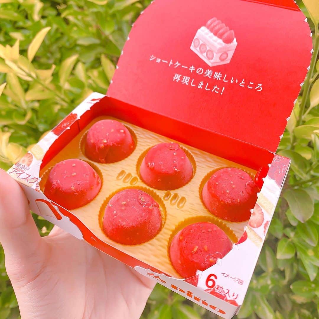 江崎びす子さんのインスタグラム写真 - (江崎びす子Instagram)「ショートケーキのピノ🍰 絶対買いたかったから嬉しい  パケも可愛い 中身も可愛い 味も美味しい  完璧なアイスや  #ピノ #pino」5月18日 18時29分 - bisukoezaki