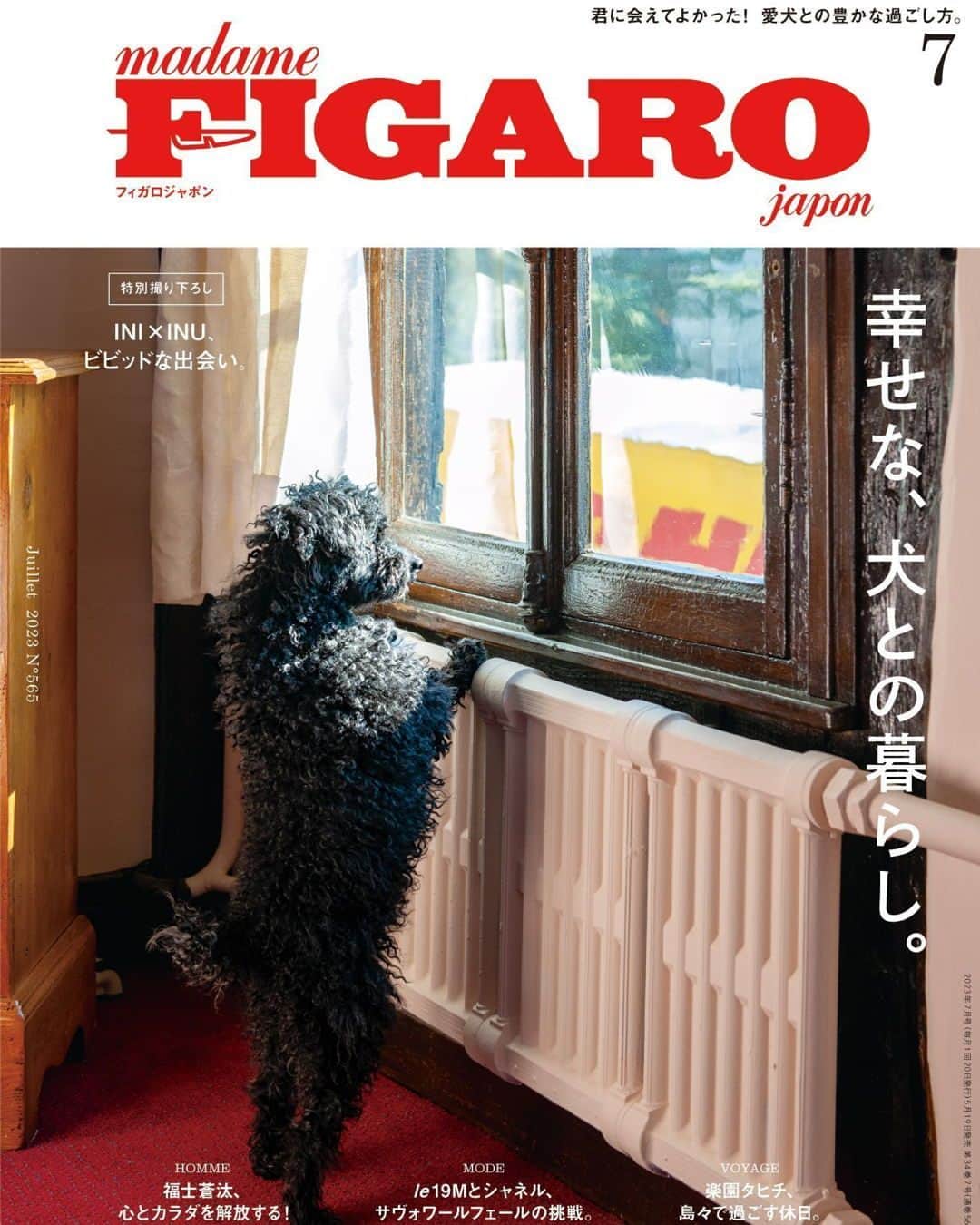 フィガロジャポンさんのインスタグラム写真 - (フィガロジャポンInstagram)「madame FIGARO japon #7月号 【幸せな、犬との暮らし。 】5月19日発売🐩  私たちはなぜ人と同じように、 もしくはそれ以上に、犬を愛したくなるのだろう。 なぜ、犬は人間にとって最良のパートナーになりうるのだろう。 犬の健康を考えたフードやおしゃれなグッズ、 一緒に遊べるスポット、そしてパリの犬の暮らし方まで、 犬とのさまざまなライフスタイルを紹介。 言葉は通じなくても、心は通じている。 そう、今日も私たちのそばには、 最愛の犬が寄り添っていてくれる。  #dog #犬 #madamefigarojapon #フィガロジャポン #マダムフィガロジャポン」5月18日 18時51分 - madamefigarojapon