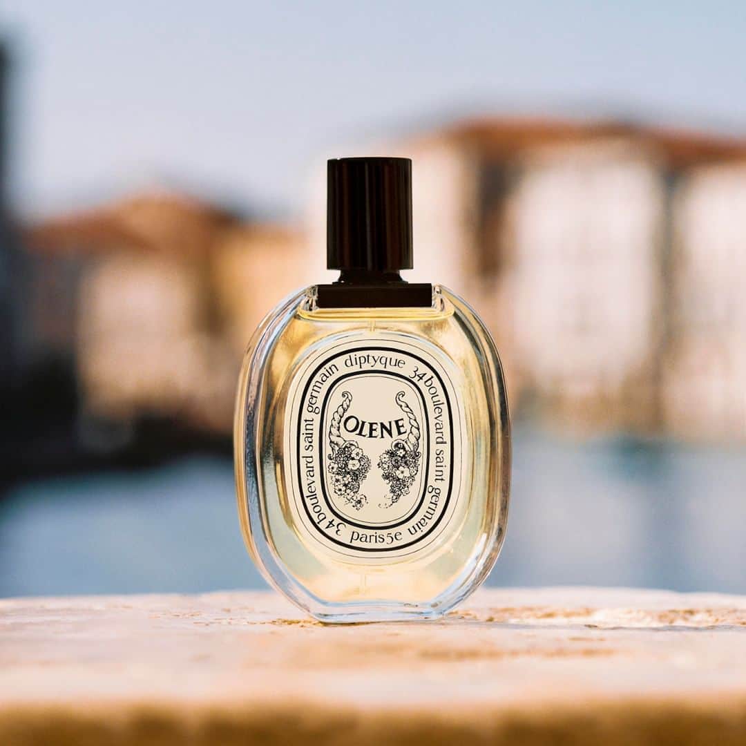 ディプティックのインスタグラム：「Day breaks… …over Venice. A city close to the hearts of the Maison's founders, and the starting point of many of their journeys. Calm reigns over the lagoon. From secret gardens escape the sweet scents of wisteria and jasmine, the incomparable fragrance of honeysuckle. From these places where narrow streets meet flowers, the Olène eau de toilette was born.  #diptyque #diptyqueparis #olene #venice」