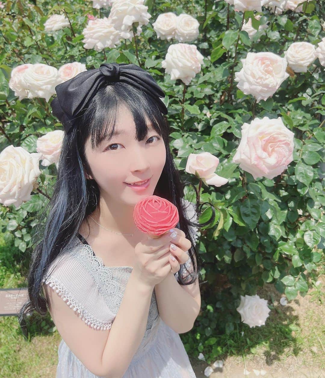 服部彩香のインスタグラム：「🌹´- . #バラ #バラ園 #京成バラ園 #バラアイス  #アリス #フリーモデル #フリーランス #被写体 #撮影依頼 #仕事依頼 #ポートレート #ポートレートモデル #あやかまる #服部彩香 #shotting  #portrait #japanesegirl  #followme  #写真好きな人と繋がりたい #カメラ好きな人と繋かりたい」