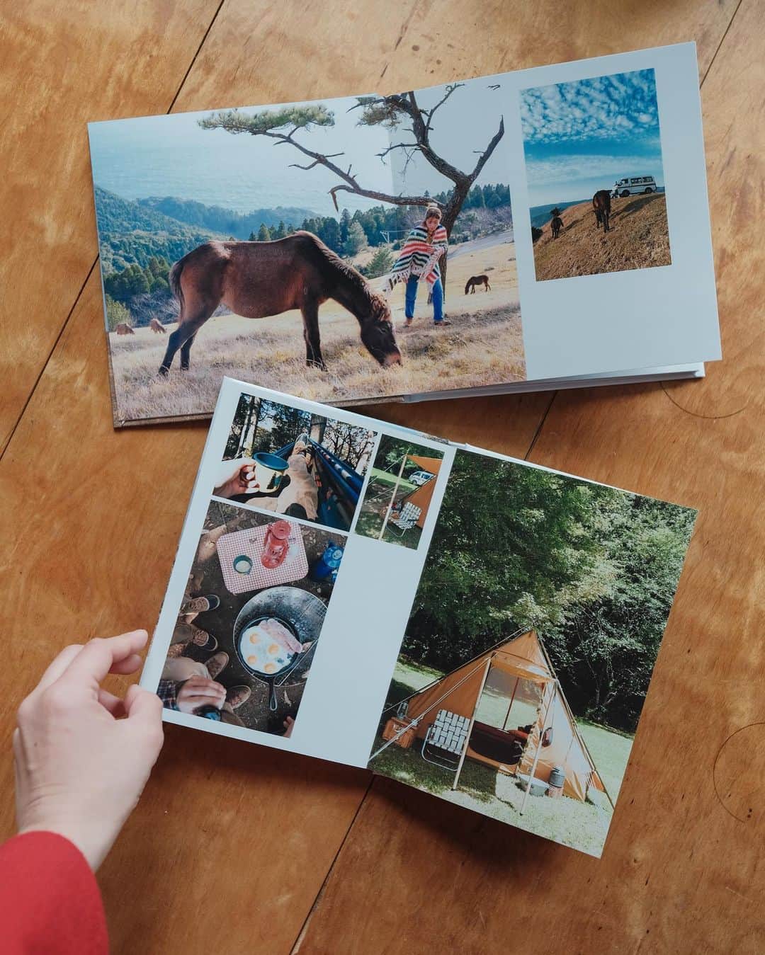 Y U R I Eさんのインスタグラム写真 - (Y U R I EInstagram)「ご報告🎉 何と写真集2冊を出版します📕👏  😳😳😳🎣  と言っても信じられてしまうのでは❓というクオリティのフォトブックを自分で作りました☺️←  左の本は日本の野生動物🐻🦆 右の本はサンシー号の車旅の記録🚌☀️  @fujifilmjp_fujicolor のサービスで フォトブックを作成したんだけど、表紙、タイトル、レイアウト、細かくカスタムできるから、楽しくなっちゃって😇 途中で凝り性発動して、気づいたら深夜まで作業してた🤣  背表紙も角ばってて、かわいいの🫰🏼❤️‍🔥  富士フイルム『プリントデイズ』のHPで、キャンプについてや、私のフォトブックについての記事が公開されています📷詳しくはそちらを覗いてみてください😊🧡  #プリントデイズ #富士フイルム #fujifilm #ハードカバーフォトブック #フジカラープリント#写真と旅ともっと#genic_mag」5月18日 18時58分 - yuriexx67