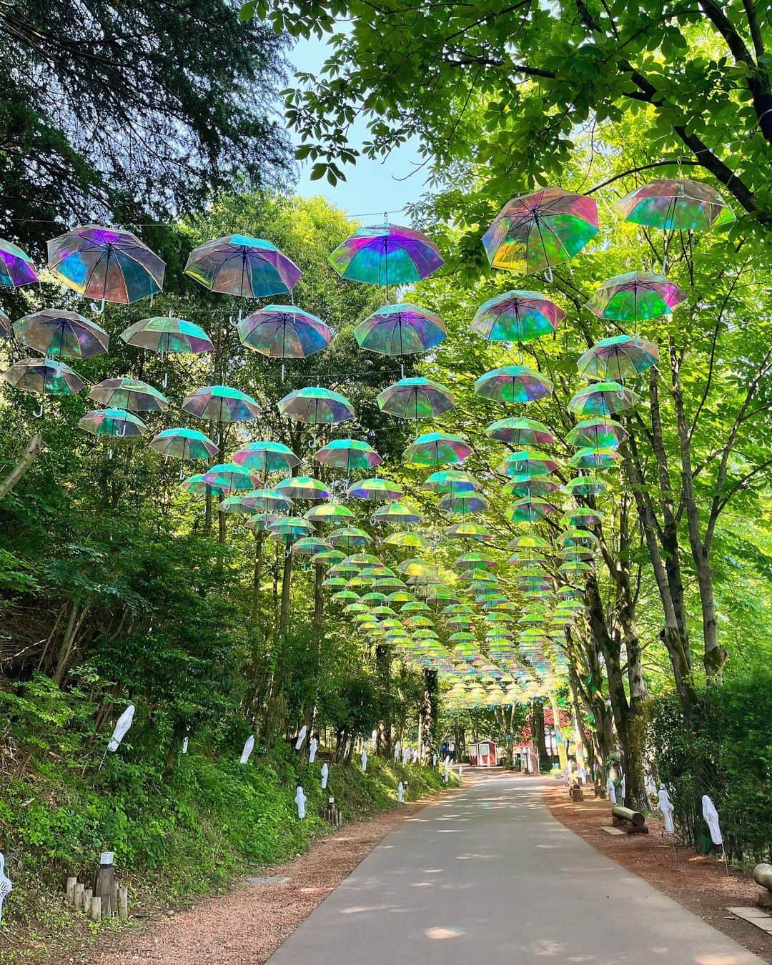 杉原凜さんのインスタグラム写真 - (杉原凜Instagram)「. 今朝は埼玉県飯能市にあるムーミンバレーパークから「アンブレラスカイ」をお伝えしました☂️🫧 約100mにわたってオーロラ傘が飾られているんです。光の当たり方や見る角度によって異なる表情を見せてくれて、キラキラ美しかったです〜✨ そして！8時台の中継ではムーミンも来てくれました！あくびをしたり目をこすったり眠そうなのも可愛かった〜🥱 ムーミン朝早くからありがとう〜🫶  #ZIP #NOWニッポン #7 #ムーミンバレーパーク #アンブレラスカイ  👗#ropepicnic」5月18日 19時16分 - sugihara_rin