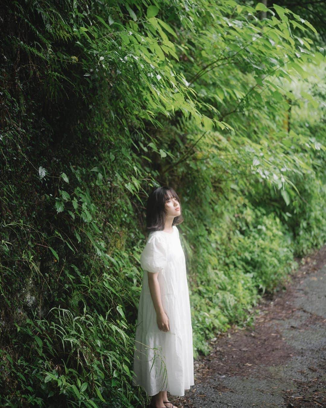 haru wagnusのインスタグラム：「greenery scent ㅤㅤㅤㅤㅤㅤㅤㅤㅤㅤㅤㅤㅤ ㅤㅤㅤㅤㅤㅤㅤㅤㅤㅤㅤㅤㅤ ５月なのに急に夏がやってきて戸惑っていたけど、春にまた戻るか、梅雨が始まるのかして、すぐに本当の夏がやってくのかな。とりあえず、日が沈んでからの、夏のような香りが好き。花火が見たいってなるし、外でお酒が飲みたいなってなる。 ㅤㅤㅤㅤㅤㅤㅤㅤㅤㅤㅤㅤㅤ ㅤㅤㅤㅤㅤㅤㅤㅤㅤㅤㅤㅤㅤ #green #summervibes」