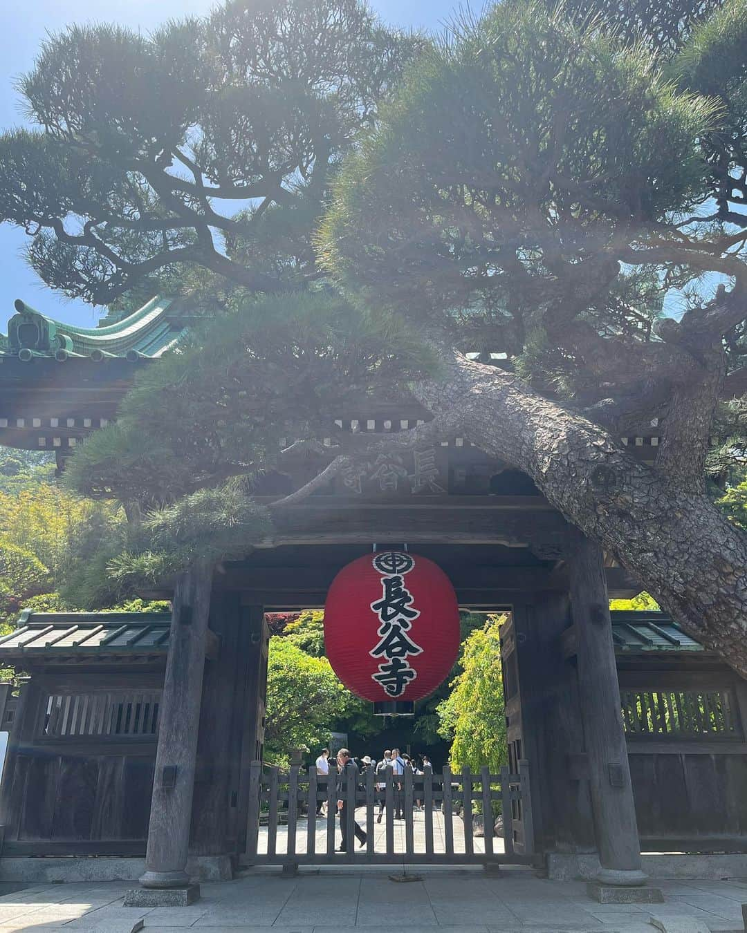 中村果生莉さんのインスタグラム写真 - (中村果生莉Instagram)「🥰 . . 今年も、さや姉と鎌倉日帰り旅へ♬.*ﾟ  去年、風強くてテラスがクローズになってて行けなかったアマルフィイデラセーラのリベンジをしに🔥  無事リベンジ成功😍👏  最後のワンコは都内帰ってきて寄ったペットショップで発見した可愛すぎたチワワさん。  鎌倉全く関係ないけど可愛すぎたから載せとく〜🥰 . . . #鎌倉 #長谷寺 #朝食アイスクリーム #アマルフィイデラセーラ  #リベンジ成功 #来年もいこ #犬 #チワワ #可愛い」5月18日 19時51分 - kaori.nakamura_0226