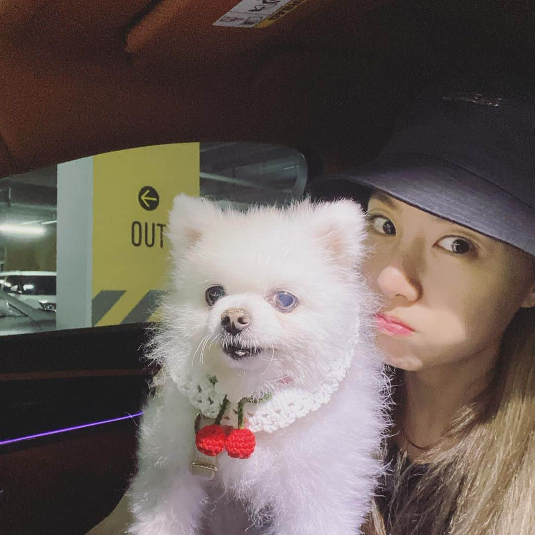 ソ・ジヘさんのインスタグラム写真 - (ソ・ジヘInstagram)「미니🐶와  첫 스티커사진❤️」5月18日 20時07分 - jihye8024