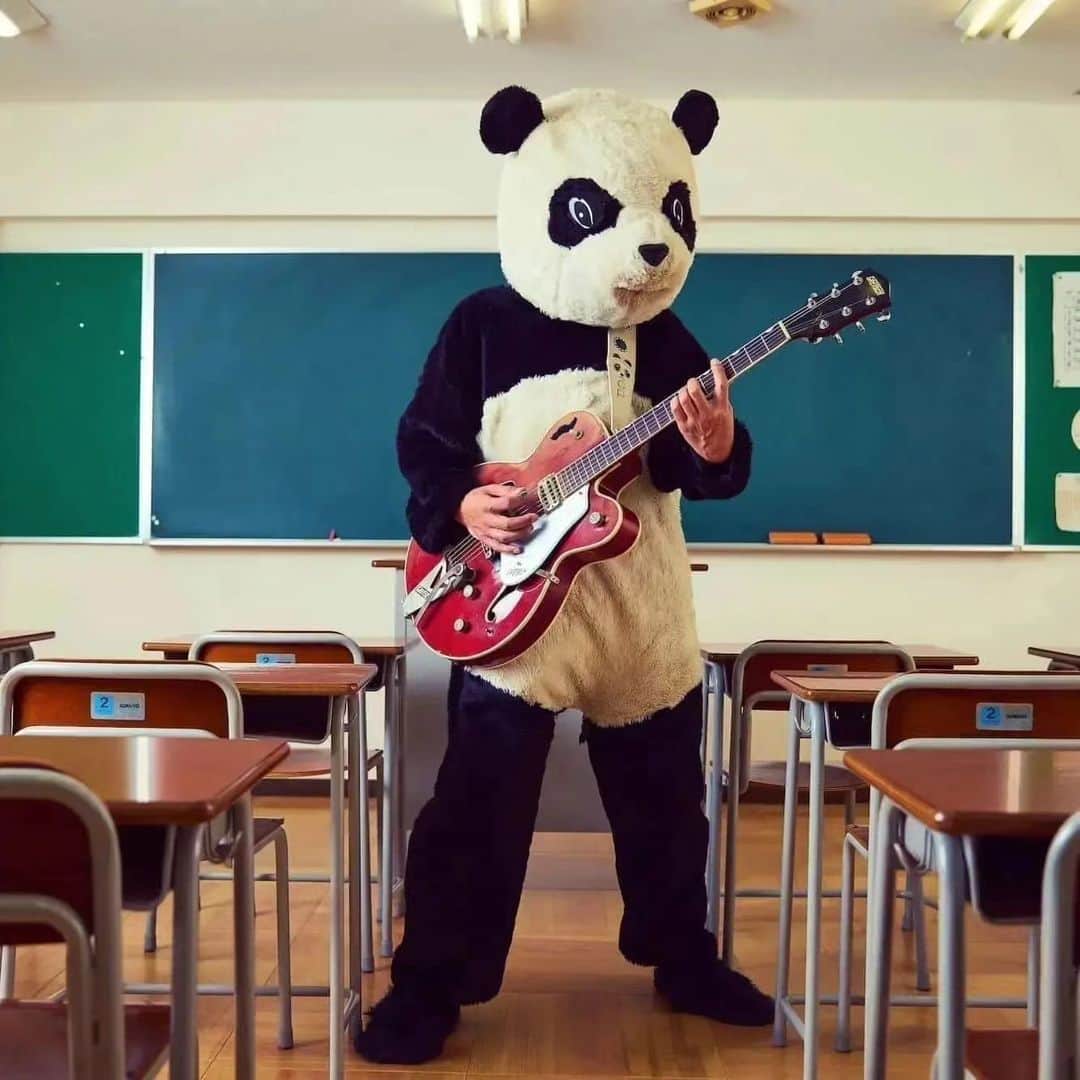 山川のりをのインスタグラム：「ギターパンダの次のライブは5月20日長野県塩尻市喫茶路上バーオンザロードです。しか～し、その日は売り切れです。次の日の5月21日は兵庫県須磨のボナルーカフェは売り出し中です。18時/19時、3000円+D。共演はイロドリ。須磨近辺におすまいの方はよろしくお願いいたします。」