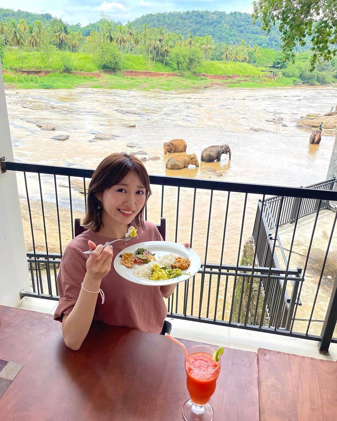 浦野一美さんのインスタグラム写真 - (浦野一美Instagram)「#🐘  ランチは、 ホテル エレファント ベイ で𓌉◯𓇋  𓈒 𓏸  ピンナワラ ゾウの孤児院の象達が 自由に水浴びをする姿を見ることが出来る場所です。  自然豊かなテラス席の為、 ハエやカラスと戦いながら💦笑 美味しいスリランカカレーや卵料理を堪能。  川に面したプールでは、 宿泊者の方々がプールサイドから 象を眺めるのを楽しみにしていました。  この日は、 およそ1％ほどの確率でしか生まれないと言われている、 世界でも珍しい双子の子像を見ることができて とってもラッキーでした♡⃛  動画、シェアしますね𓃰🐘🐘𓃰  旅行前に、ティースタイルさんを通して 動物が負担になるような観光は 希望しませんとの旨をお伝えしていたので 象と触れ合ったり、 柵の無い場所での見学は控えました。 動物にとって何が負担になるかは わからないけれど、 万が一があった場合には 人間も動物も望まない選択を 迫られる事があるかもしれません。 私達の希望を大事にして下さった ティースタイルさんとガイドさんの配慮に 感謝しています。  #ハネムーン #ハネムーンレポ #ハネムーンスリランカ #honeymoon #カップルコーデ #UNIQLO #uniqloコーデ #オソロコーデ #couple #カップルフォト #srilanka #srilankatravel #srilanka🇱🇰 #srilankatrip #新婚旅行 #travel #海外旅行 #夫婦 #夫婦旅行 #ピンナワラ #象 #elephant #pinnawala #pinnawalaelephantorphanage」5月18日 20時25分 - cindy.cinderella