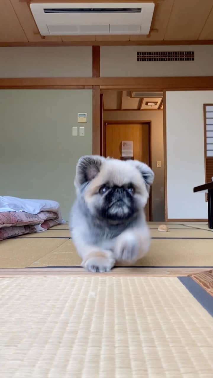 いぶそらのインスタグラム