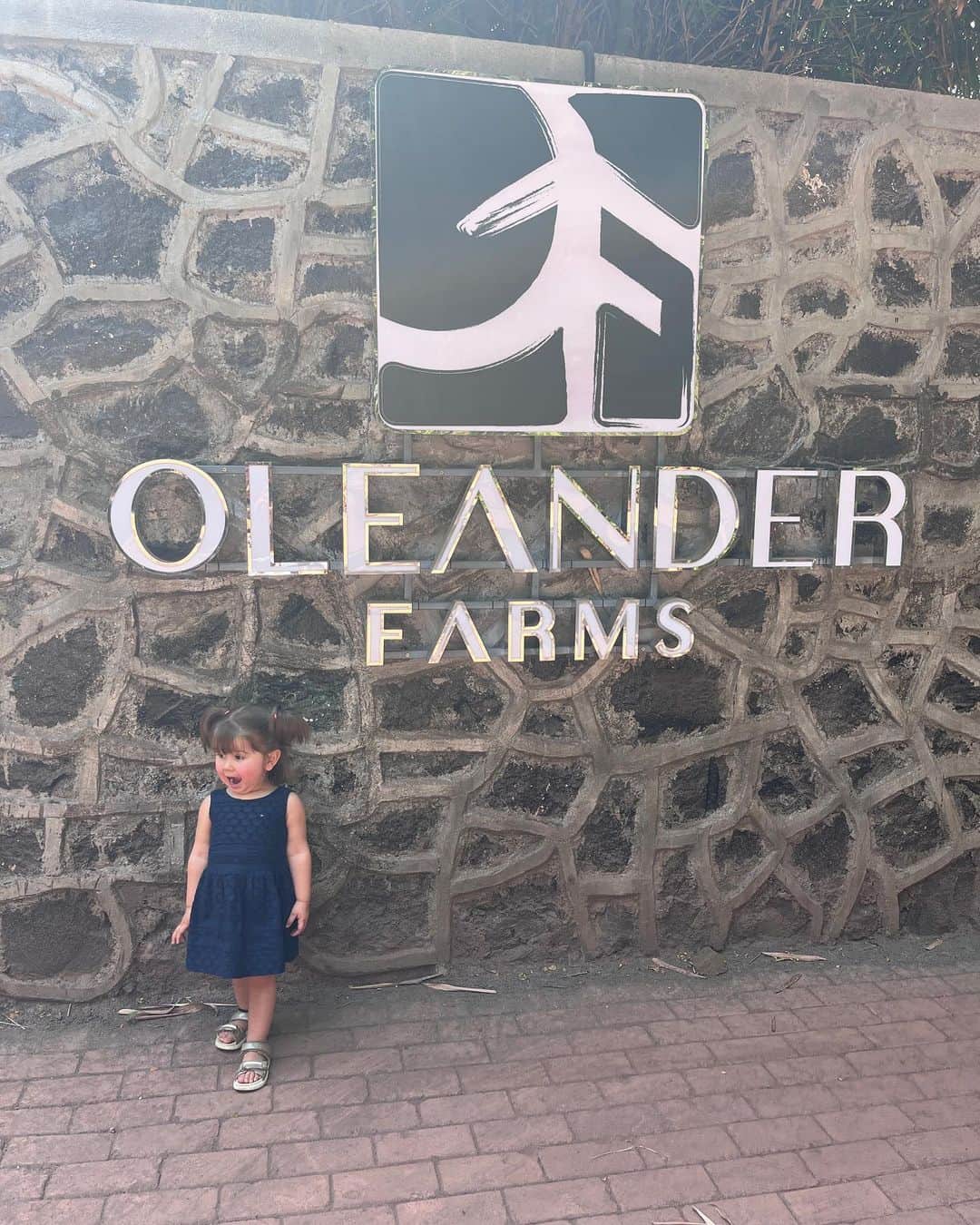 Diipa Büller-Khoslaさんのインスタグラム写真 - (Diipa Büller-KhoslaInstagram)「Team @indewild worked on something majorrr for next week!!   Super excited to share with you everything we brainstormed @oleanderfarms   Just 1.5 hours away from Mumbai, we found the most comforting space to host our global retreat - we worked hard & played hard!   7 days went by in a jiffy as we discovered everything @oleanderfarms has to offer - from dining at the iconic @salttkarjat, beer tasting at @commonhousekarjat, trekking, wine tasting, team building activities to bowling and more.   Can’t wait to be back!」5月18日 21時06分 - diipakhosla