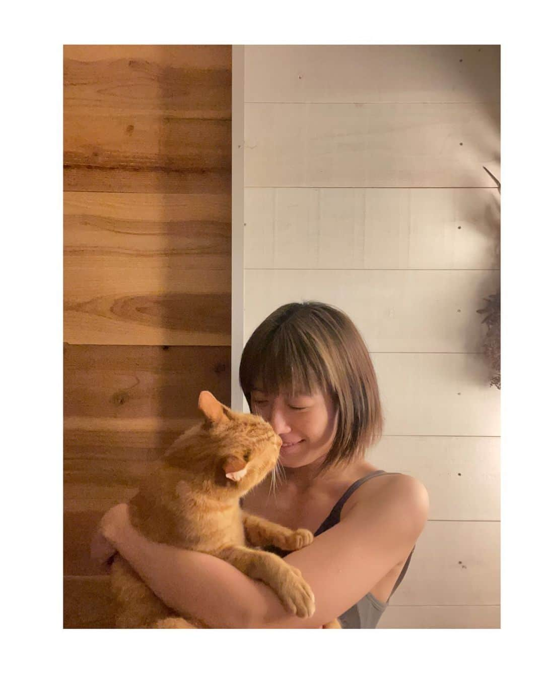 甲斐麻美さんのインスタグラム写真 - (甲斐麻美Instagram)「🫠🫠🫠  サンちゃん抱っこしたら チューされてニヤリの巻←  ああ… ほんと猫って なんでこんな可愛いかね…  それにしても腕が めっちゃ逞しく写ってて ウケる  #20230518 #kaicoの好日 #猫とわたし #ねことわたし #元保護猫 #保護猫を家族に #茶トラ」5月18日 21時25分 - kaico_asami