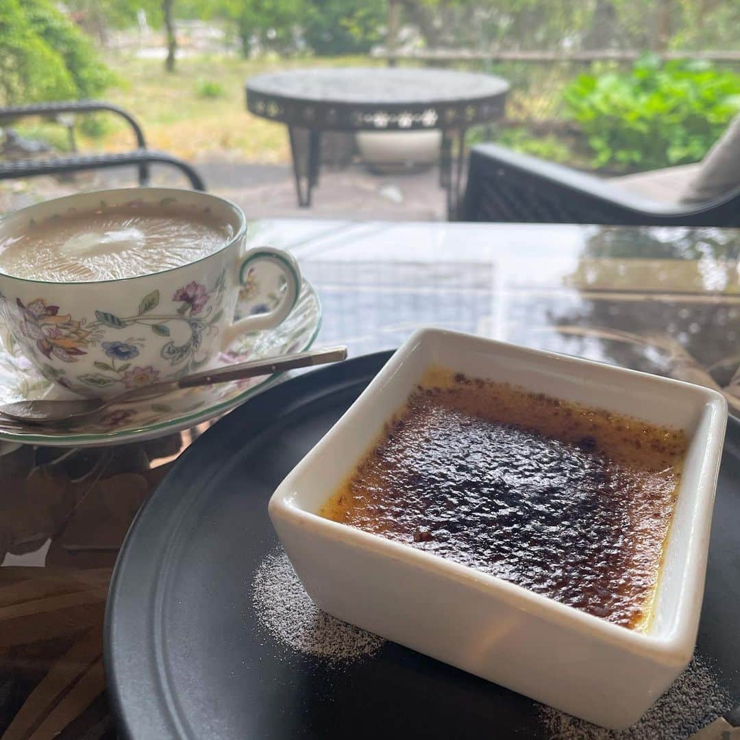 TakeuchiAyaka のインスタグラム：「癒🕊️🍃」