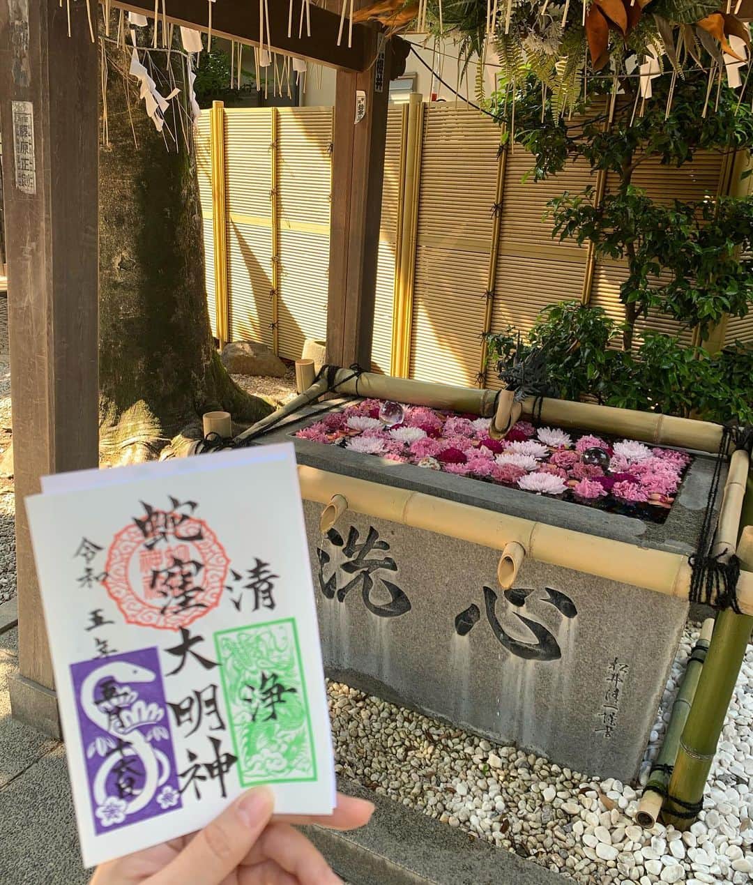 KagitaYukikoさんのインスタグラム写真 - (KagitaYukikoInstagram)「⛩✨ みんな気になる！？ ✨金運UPスポット✨ ╰(*´︶`*)╯♡♡  自転車大好き ゆきんこです💕  素敵なパワースポットを 見つけて 参拝してきました（^人^）✨✨  蛇窪神社⛩ さま✨✨ @wa.shinagawa  はじめて シェアサイクル 利用して♪♪  大井町駅間〜蛇窪神社さまへ 🚲✨  自転車の旅(o^^o)♪♪  走ってると 風が気持ち良くって(´∀｀*)💕  走り出しも めっちゃ快適♡♡  とっても素敵な 神社で、 銭洗いをされてる参拝者の方も たくさんおられました⛩✨  御朱印も頂き 大満足╰(*´︶`*)╯✨✨  品川区内 他にも公園や神社仏閣 自転車でも走りやすい道が多いので おすすめスポットです♡♡  #パワースポット #東京　 #japan #cycling #shrine  #自転車 #シェアサイクル  #サイクリング #サイクリング女子  #しながわ自転車旅 #retro_japan_ #自転車女子 #nostalgictokyo #自転車のある風景 #レトロ建築 #レトロな街並み #ノスタルジー #神社仏閣 #東京散策 #旧東海道 #品川宿 #北品川 #⛩  PR @wa.shinagawa #品川  #しながわ  #品川区 #わしながわ  #しながわ街巡り #wa_shinagawa  #しながわ自転車旅 #シェアサイクル」5月18日 21時45分 - mermaid.yukinko