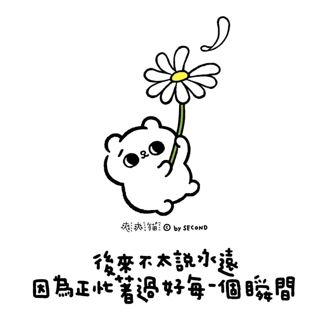 爽爽貓 by SECONDのインスタグラム：「#當下  努力成為一個 不要常常說早知道的人  #爽爽貓 #SONGSONGMEOW #ソウソウネコ #bySECOND #wuchengan」