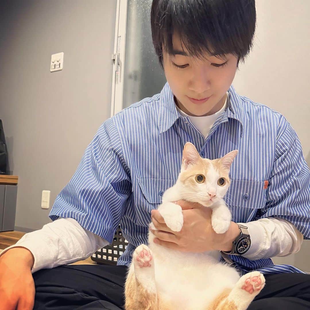 本田剛文さんのインスタグラム写真 - (本田剛文Instagram)「先日の写真！ 実家にて！  #猫 #猫のいる暮らし #ねこすたぐらむ  #猫好きさんと繋がりたい #無表情 #ボイメン #本田剛文」5月18日 21時49分 - boymen_honda