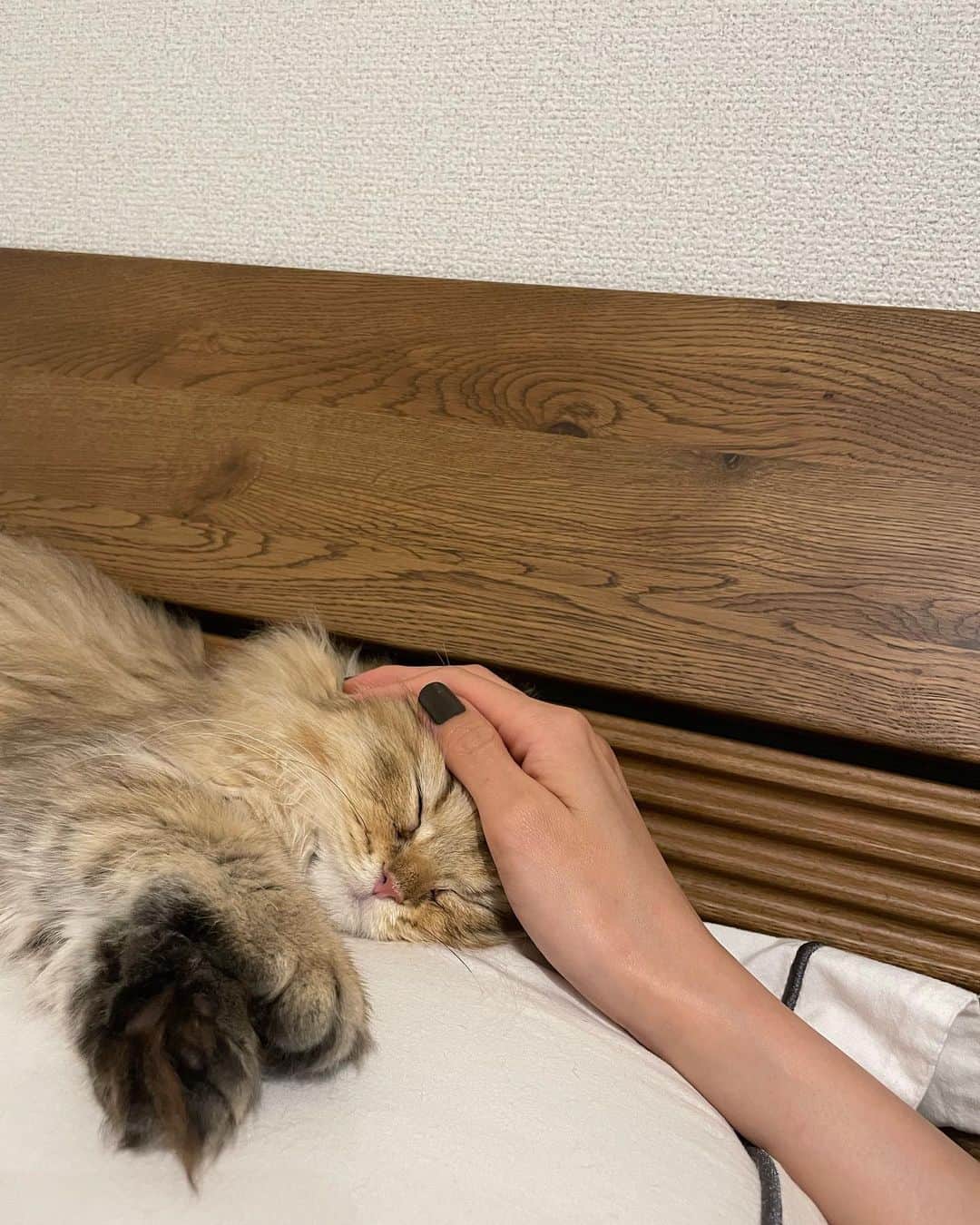 のインスタグラム：「👼🏻🤎🖤  手を離すと「ぁーっ」て声出して 精一杯甘えるひと時。🕰️  最後の写真の、 手を離されたことに気づいた時の絶妙な顔が またかわい。  手が大きいところも ほんと愛おしい  永遠かわいー あもちゃんのお裾分けでした。  いい夜を。🌛」