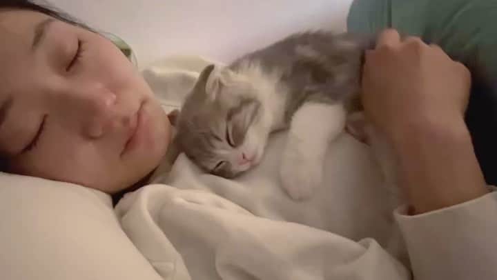斎藤なりのインスタグラム：「クマっぽい猫」
