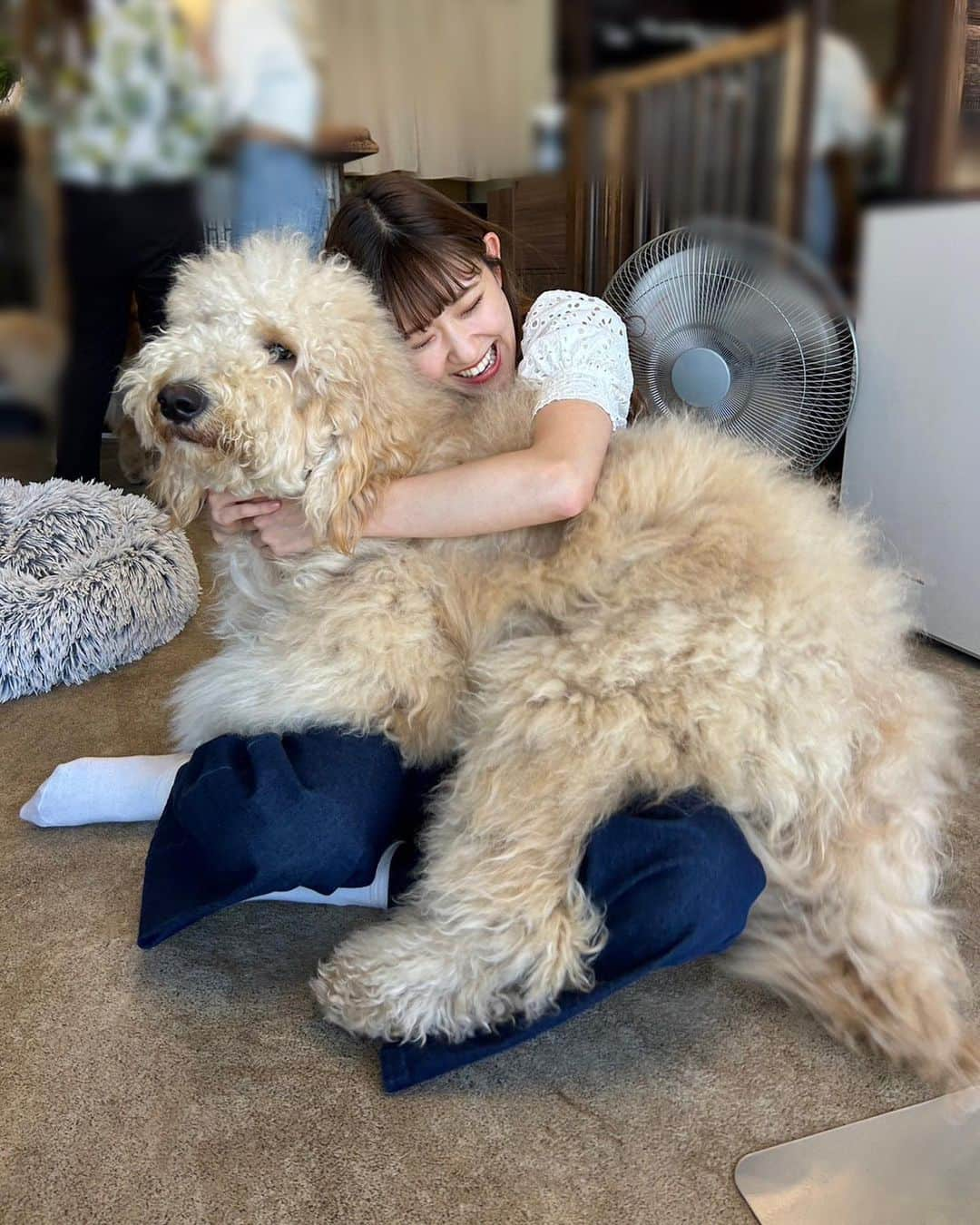 川村文乃さんのインスタグラム写真 - (川村文乃Instagram)「もふもふ〜🐶  #ANGERME#アンジュルム#川村文乃」5月18日 22時19分 - ayano_kawamura.official