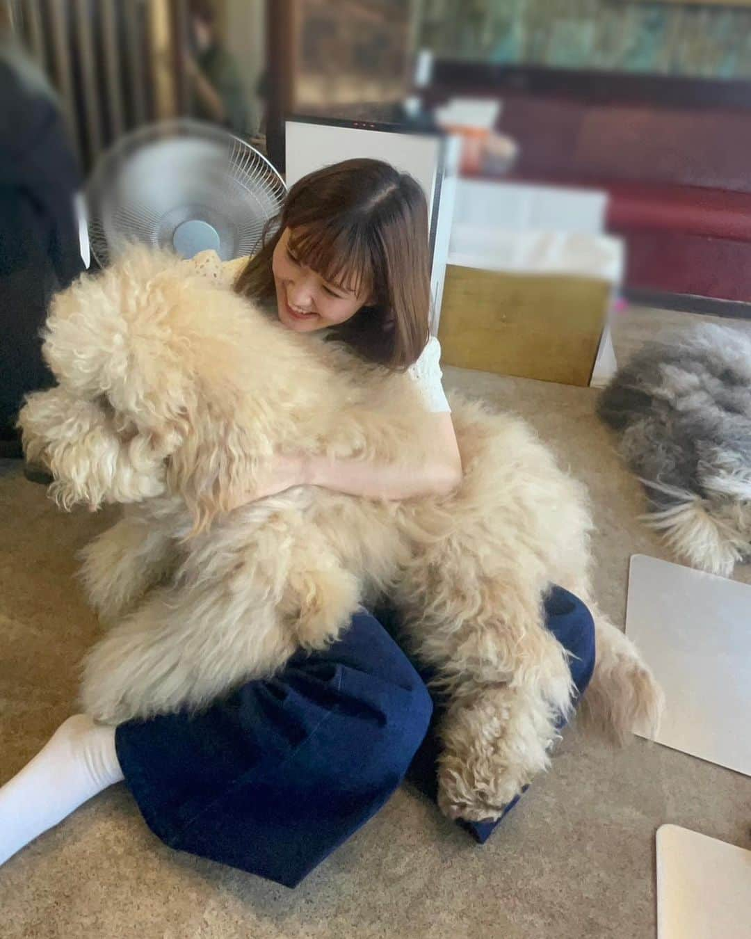 川村文乃さんのインスタグラム写真 - (川村文乃Instagram)「もふもふ〜🐶  #ANGERME#アンジュルム#川村文乃」5月18日 22時19分 - ayano_kawamura.official