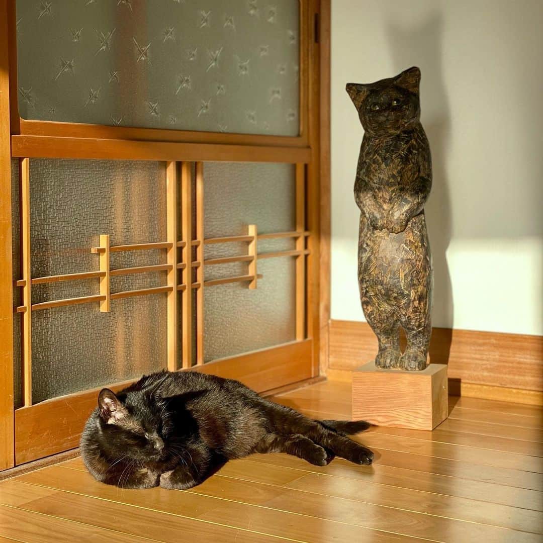 花房さくらさんのインスタグラム写真 - (花房さくらInstagram)「黒猫の前で黒猫が気持ちよさそうに寛いでいました。  「だって私がモデルの作品だもの」  #黒猫 #black  #cat #sculpture #hanafusasakura」5月18日 22時46分 - sakura_hanafusa