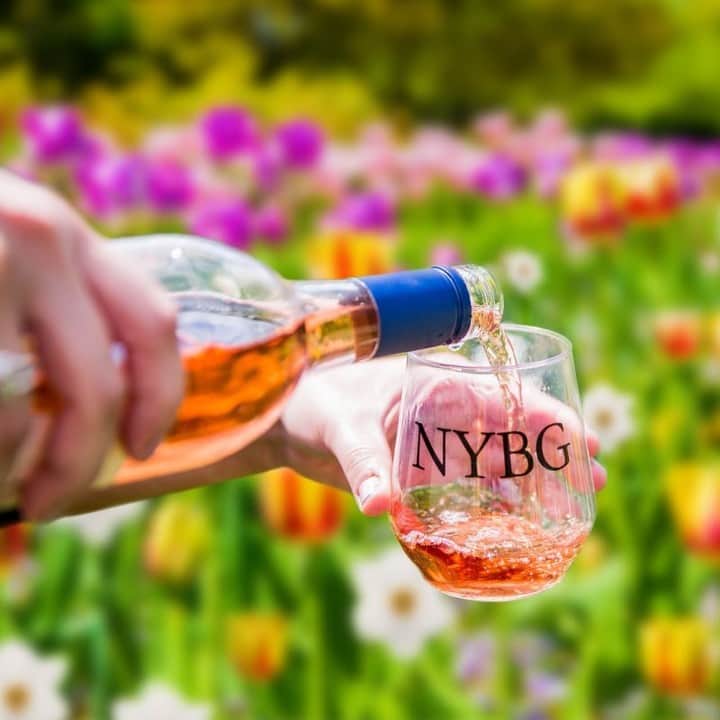 ニューヨーク植物園のインスタグラム：「There's no better pairing for a glass of rosé than a day out in New York's most beautiful spring landscape! 🍷🌿  This Saturday and Sunday, May 20 & 21, sip and savor the season during Spring Uncorked at NYBG, a weekend for wine lovers featuring the best of regional wineries from the Hudson Valley, Brooklyn, and Long Island—with samples to taste and a wide selection of bottles to purchase. The flowers and foliage of the season set the scene for you to relax to live music, learn the science behind the vintner's craft, and kick back with a variety of crafts and lawn games while enjoying delicious lunch options from our friends at the @BronxNightMarket.  This once-a-year event is coming up quickly, so don't wait—hit the link in our bio to get your tickets while they last!  #SpringUncorked」