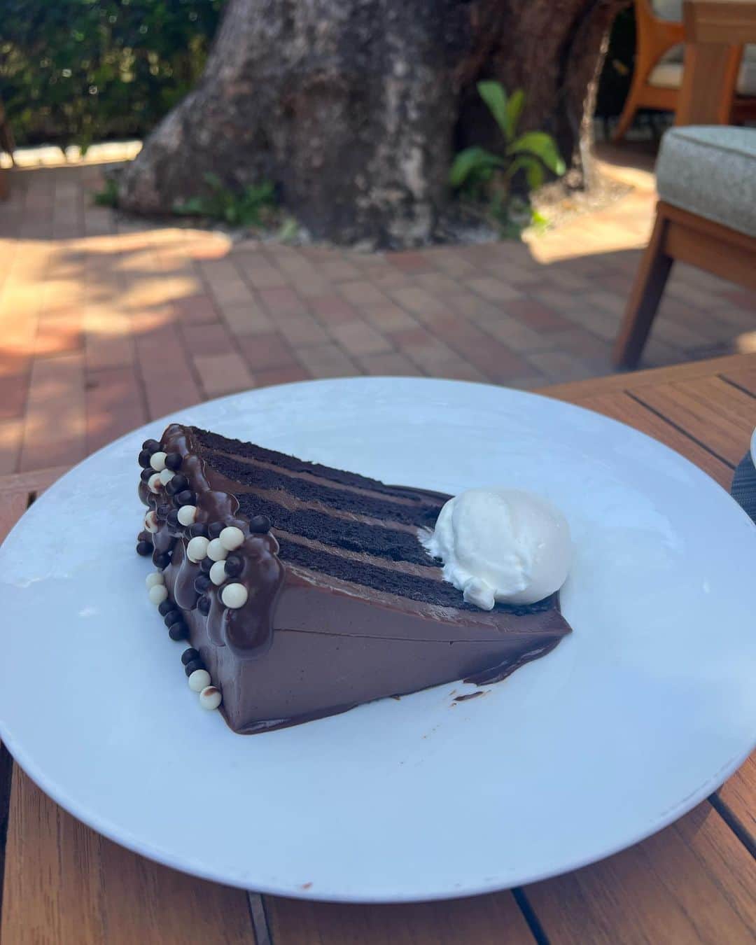 和央ようかさんのインスタグラム写真 - (和央ようかInstagram)「Nice day in LA 😊 Frank says nice chocolate cake ever 😂😂😂  気持ちのよい、お昼でした😊 フランクは最高のチョコレートケーキに出会えて、幸せ度max 😂😂😂たしかに、このチョコレートケーキ、美味しかった👍大きいのに、ぺろっ😜  #takakoworldstylin🌎 #takakolastylin🌴 #lifestyle #yokawao #和央ようか」5月19日 1時51分 - yokawao0215