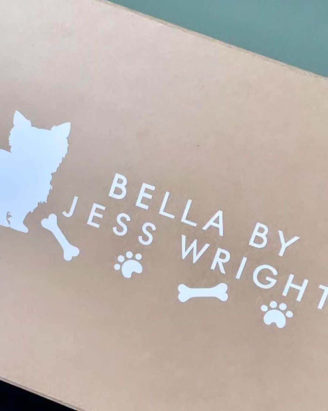 Jessica Wrightさんのインスタグラム写真 - (Jessica WrightInstagram)「Me & my little bestie 🐾   This is so exciting!! I am so thrilled to announce the launch of Bella by Jess Wright x @poundland 🐶   A dog range is the perfect addition to my Poundland ranges and I couldn’t be happier about it. Bella is my little best friend and providing products that she, and others can use, makes me smile.    It’s affordable, fun, adorable and such good quality. I’m so excited for Bella by Jess Wright and I hope you guys love it too!   The full range is available in Poundland stores nationwide this week and is the perfect solution for all your furry friends' needs 🥰🫶🏼🐾」5月19日 4時24分 - jesswright77