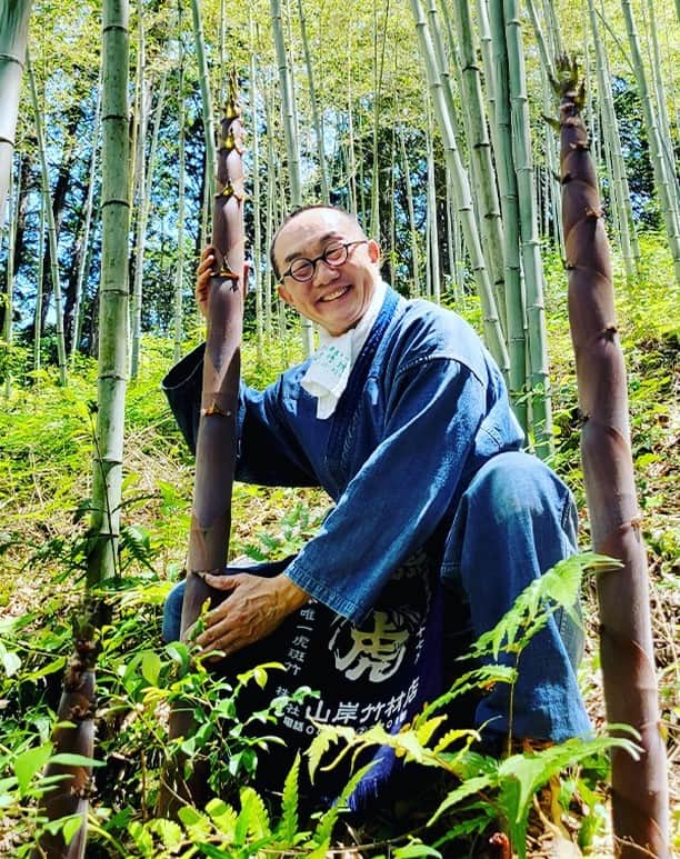 竹虎さんのインスタグラム写真 - (竹虎Instagram)「今の季節の虎竹の里は、まさにリアルたけのこの里状態だ。皆さんは、凄まじい筍の成長スピードをご存知だろうか？生まれてからドンドンと伸びていき、わずか3ヶ月で親竹と同じ大きさになってしまう。だから昨日まで何も無かったはずの空間に突如現れる筍に、連日竹林の様子が変わるように感じるのだ。この神秘の生命力があるからこそ、日本では「松竹梅」と縁起の良い植物に数えられている。大きく育ったあとは色づきだ、今年のルーキーたちに期待したい。 . #竹虎 #虎斑竹専門店竹虎 #山岸竹材店 #竹虎四代目 #TAKETORA #竹 #竹林 #筍 #虎竹 #淡竹 #タケノコ」5月19日 5時51分 - taketora1894