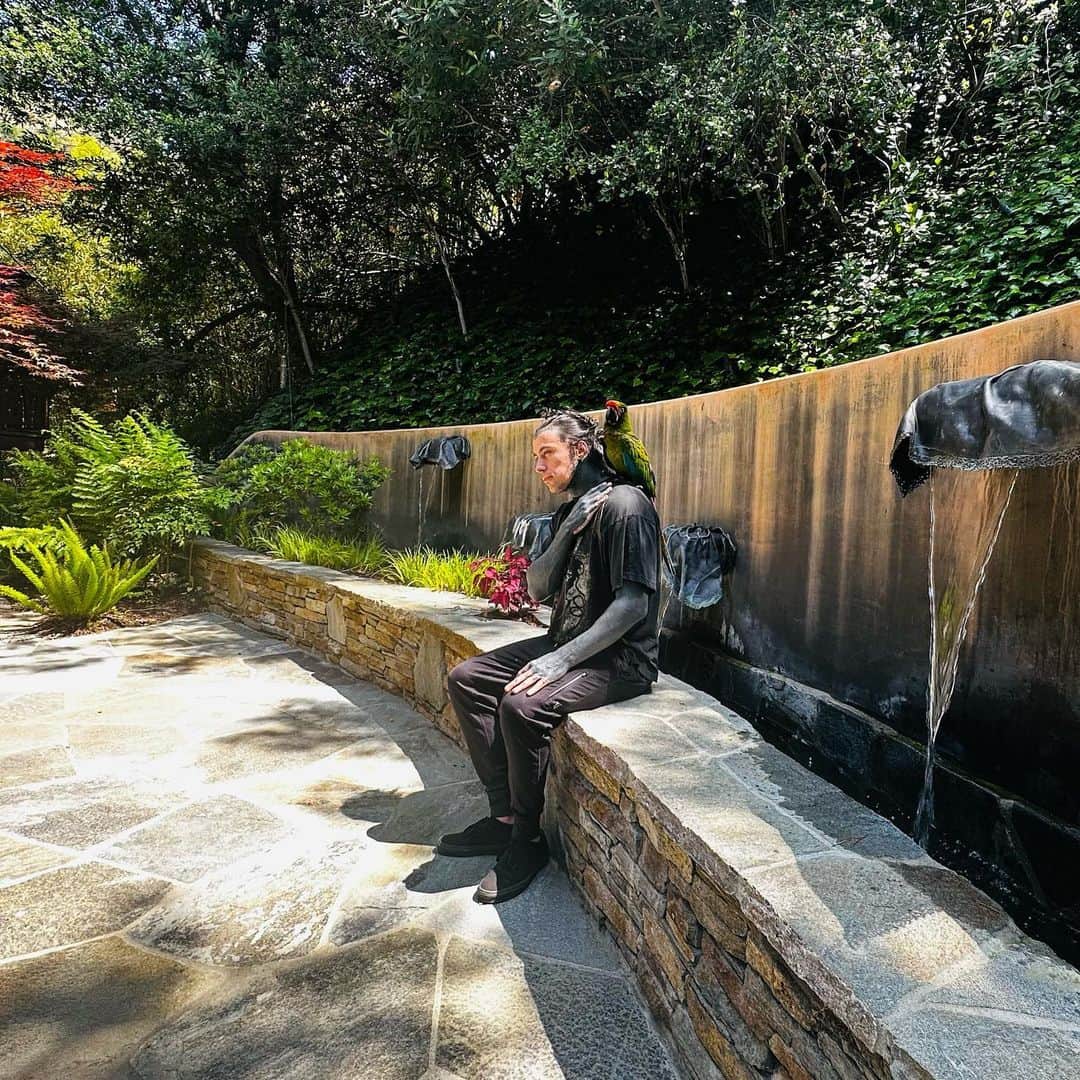 ロニー・ラドクのインスタグラム：「Backyard hangs」
