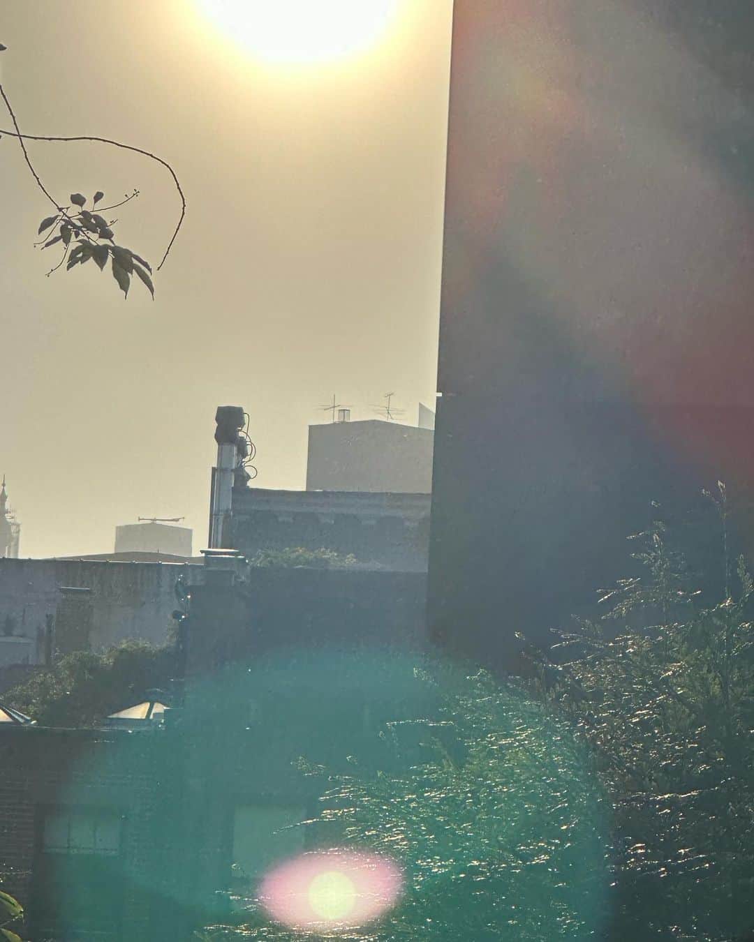 のインスタグラム：「Morning. X,SJ」