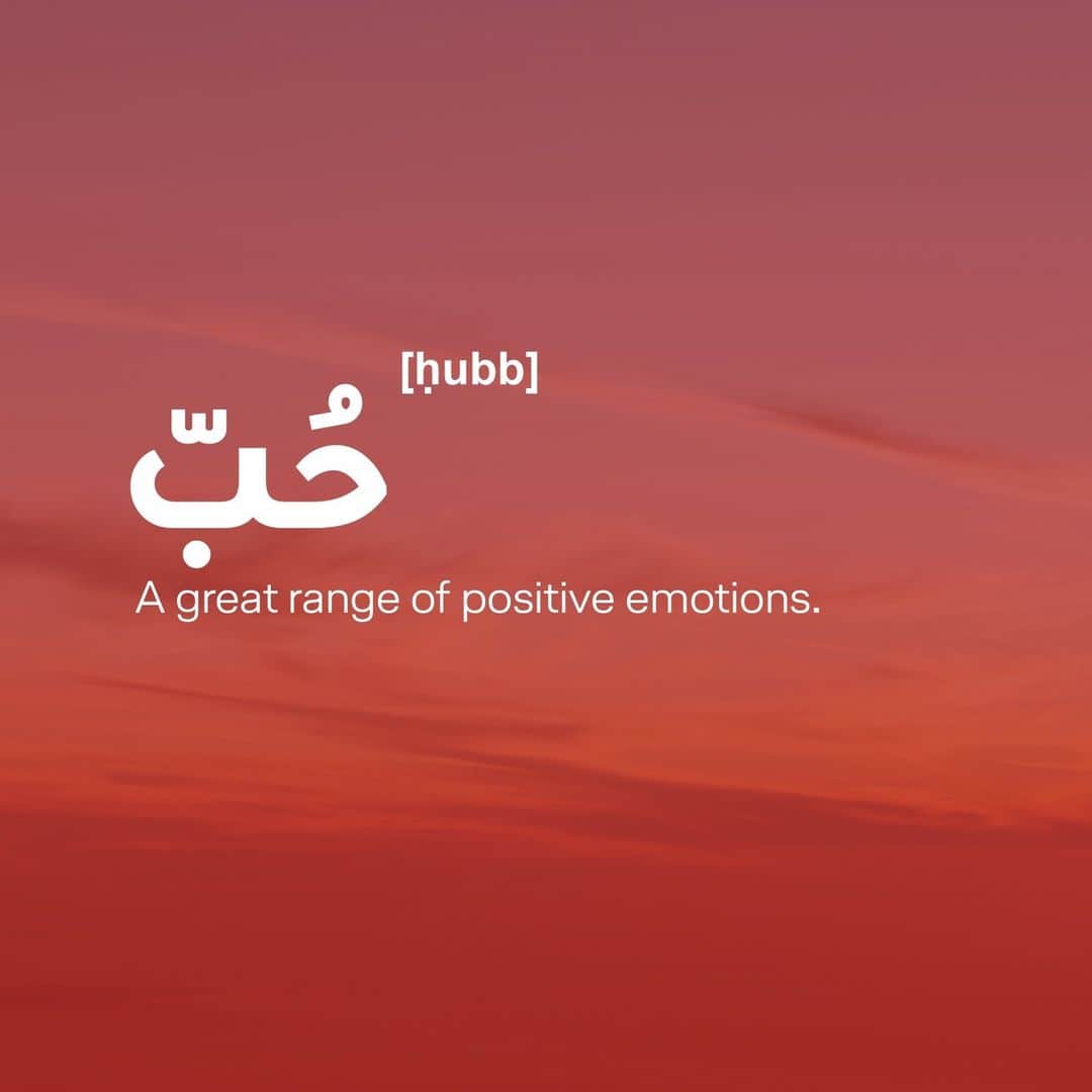 ルフトハンザのインスタグラム：「حُبّ ❤️ A great range of positive emotions.  #Lufthansa #LoveDictionary #LoveIsLove」