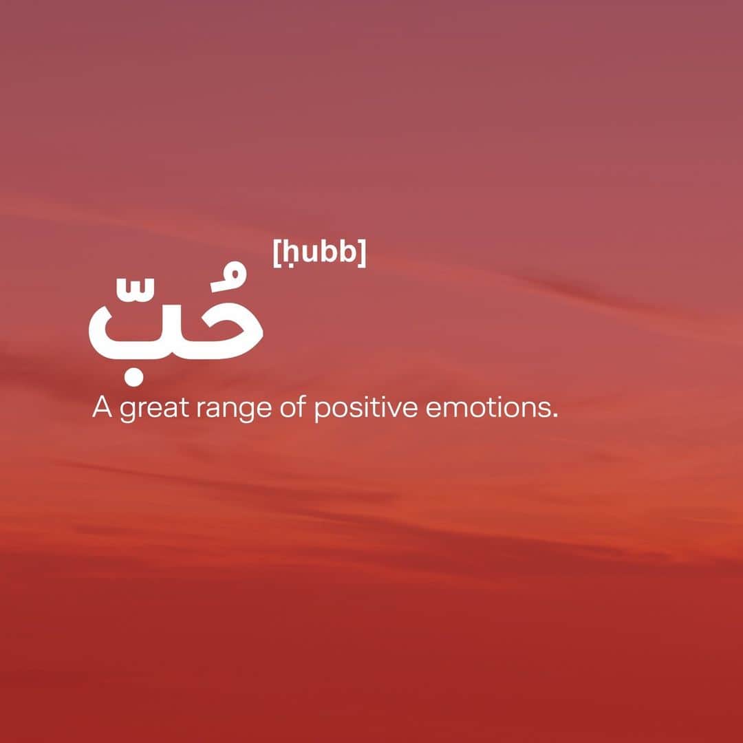 のインスタグラム：「حُبّ ❤️ A great range of positive emotions.  #Lufthansa #LoveDictionary #LoveIsLove」