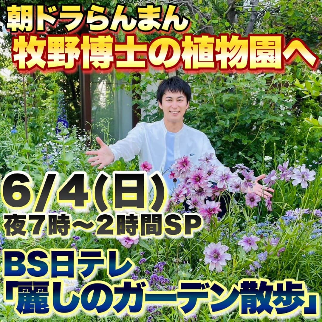 三上真史のインスタグラム：「6月4日(日)よる7時〜放送  BS日テレ 「麗しのガーデン散歩」 春らんまん！植物愛いっぱいの2時間スペシャル  わたくし三上が全国のガーデンを訪ねる番組の最新作が放送されます。  今回はゲストに柴田理恵さん、宮崎美子さんをお迎えしての豪華2時間スペシャル！  朝ドラらんまんのモデル 牧野富太郎博士ゆかりの広大な植物園や、本家フランス公認のモネの庭、さらにはフジが美しいあしかがフラワーパークに、驚きの場所にある見事なバラ園、一年草で織り成す圧巻のオープンガーデン、そして三上流ガーデニングの楽しみ方のコーナーやプレゼントも！  見所満載の2時間です！ 　 YouTubeチャンネルにて予告動画も配信中ですので、合わせてぜひご覧ください。   #麗しのガーデン散歩 #ガーデン散歩 #BS日テレ #ガーデニング #園芸 #朝ドラらんまん #三上真史」