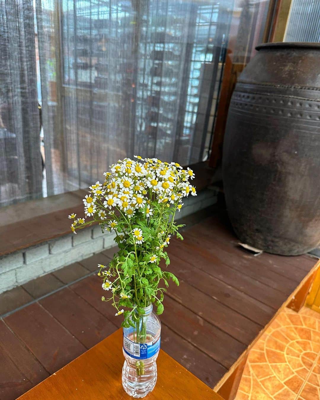 ソン・ジホのインスタグラム：「꽃살리기 프로젝트💐  아름다운 가가바 멤버이자 사랑스런 후배들🍾」