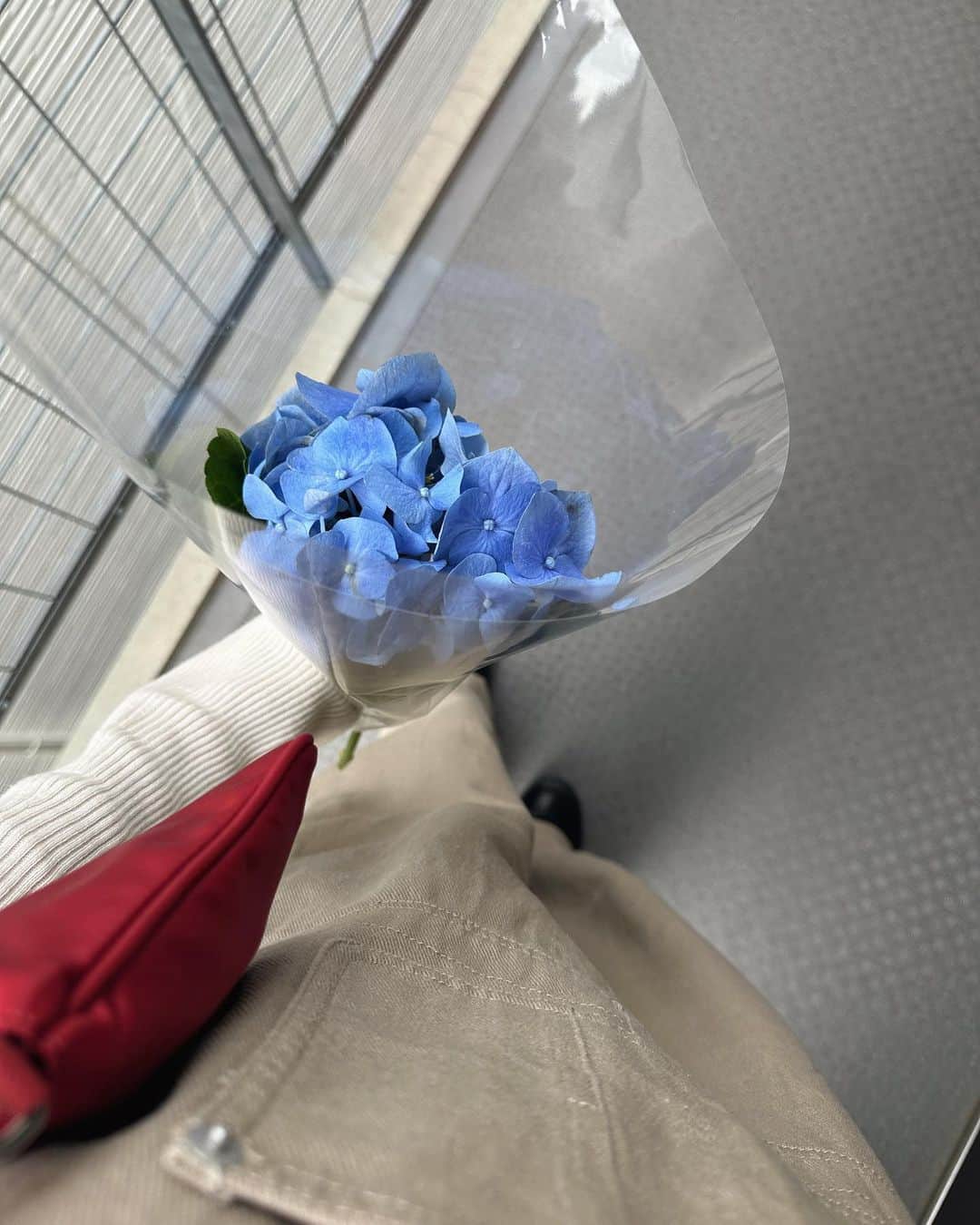 mizukiさんのインスタグラム写真 - (mizukiInstagram)「ブルーの紫陽花を見ると梅雨だなぁ、って🐌🫧 昔よりも今のほうが紫陽花って好き。 ㅤㅤㅤㅤㅤㅤㅤㅤㅤㅤㅤㅤㅤ この日は珍しくサロペット🤍 @apretro_official  カジュアルになりすぎないように、インナーは女性らしいものを☺️ ㅤㅤㅤㅤㅤㅤㅤㅤㅤㅤㅤㅤㅤ #梅雨#紫陽花#apretro#アプレトロ#zozotownのおすすめブランド」6月2日 20時30分 - mizukidrop
