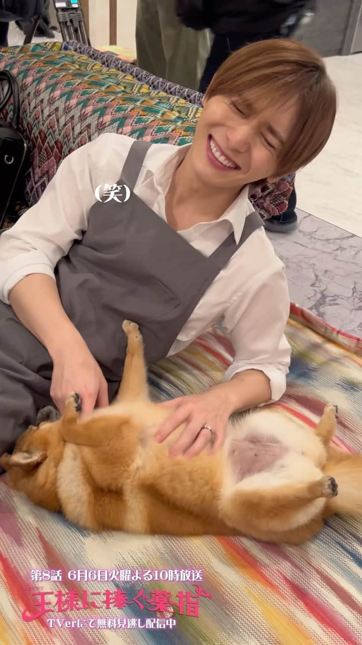 王様に捧ぐ薬指のインスタグラム：「💍  ／ 　ネギのお休み時間🐶🐾 ＼  東郷さんにわしゃわしゃされて 気持ち良くてつい眠っちゃったネギ🫶🏻  無防備すぎる姿にメロメロな東郷さんでした😙💗 綾華さんもかわいい〜〜と一言🥰  でも、いざ本番！となると、 しっかり気合を入れるプロなネギちゃんでした🐶💫  第7話をもう一度見たい方はTVerで♡ 第1〜3話と最新話はTVerにて無料配信中です👀 第8話は6月6日よる10時から放送🐾  #王様に捧ぐ薬指 #王ささ  #橋本環奈 #環奈ちゃん #山田涼介 (#HeySayJUMP) #坂東龍汰  #長尾謙杜 (#なにわ男子) #森永悠希  #塚地武雅  #利重剛  #りょう #松嶋菜々子  #TBS #火曜ドラマ #春ドラマ #ラブコメ #胸キュン  #ドラマ好きな人と繋がりたい  #結婚 #メリット婚 #プロポーズ #夫婦 #夫婦バトル #第8話は6月6日よる10時放送🐶」