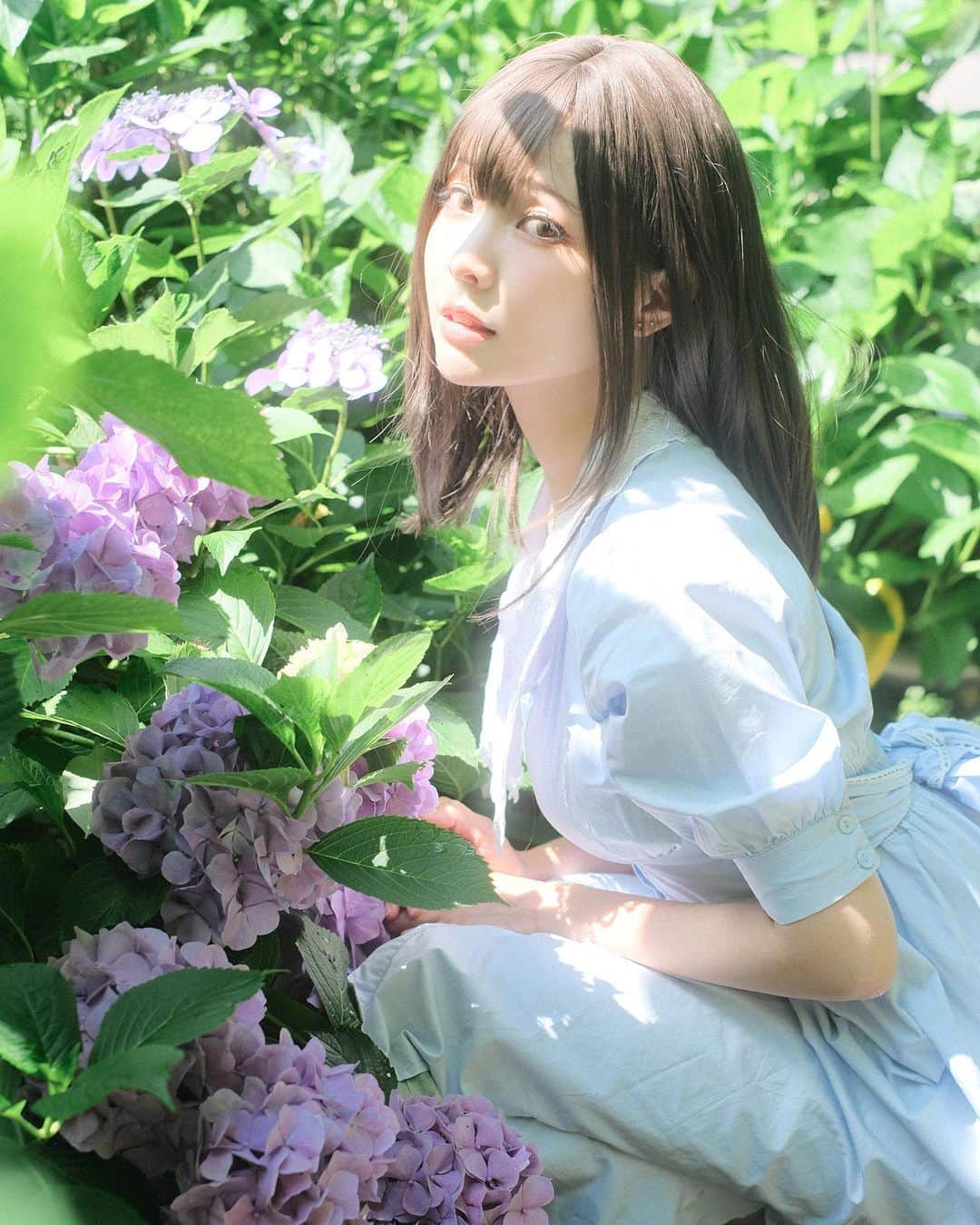 のインスタグラム：「Hydrangea Season ✧︎*。 もうアジサイの季節ですね〜  繡球花的季節到了（外面狂風暴雨中  📷@kumo_linouo」