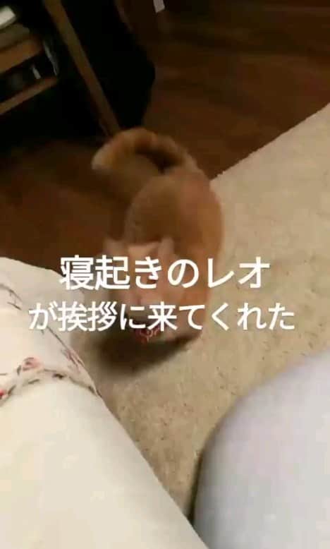 山下昂大のインスタグラム