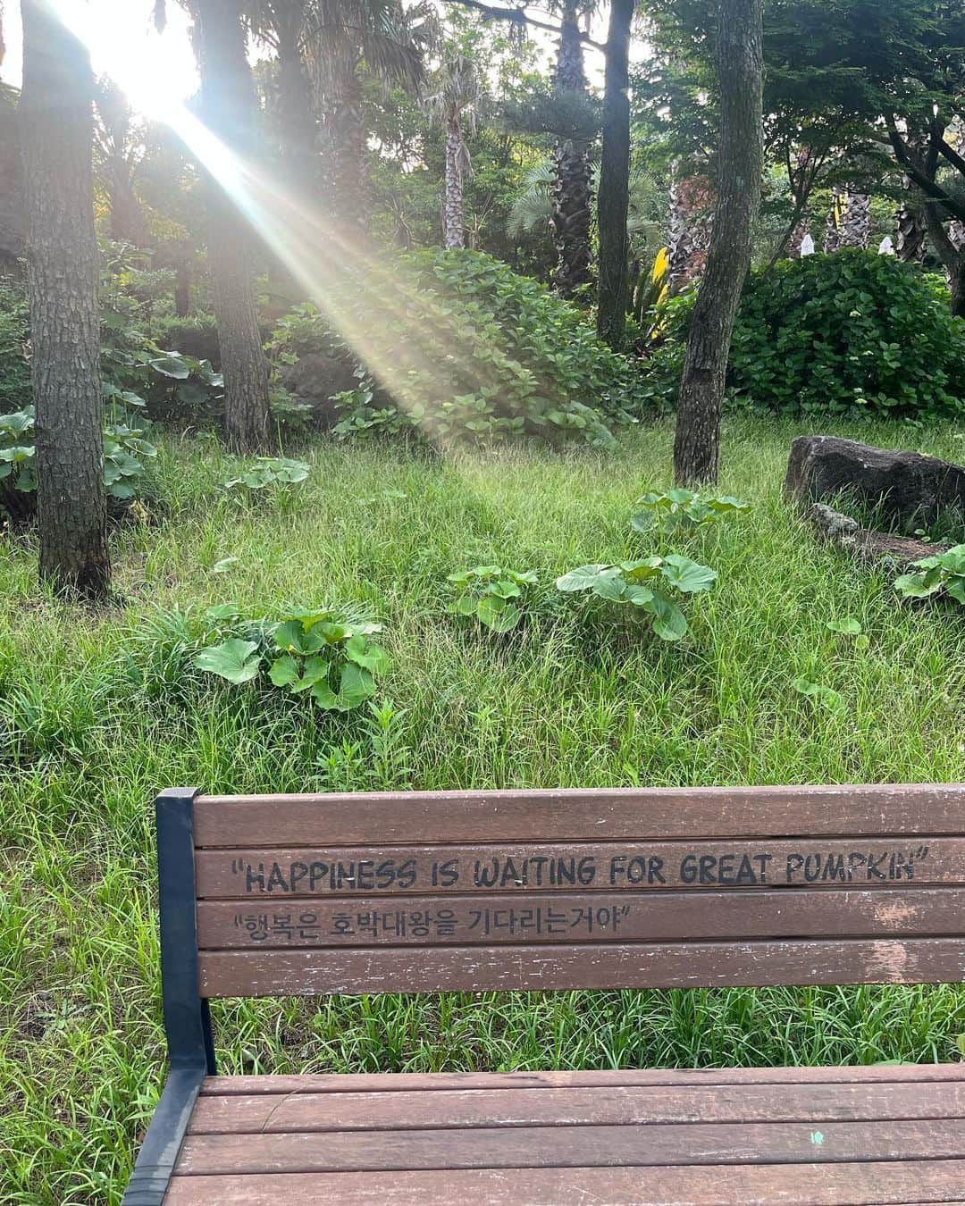 キム・ミニョンさんのインスタグラム写真 - (キム・ミニョンInstagram)「제주도 죠타 🌿 로아르원피스도 예쁘됴?! 제주바다~~스누피가든~~~ 절거웠던하루」6月2日 21時54分 - minyoung_aori